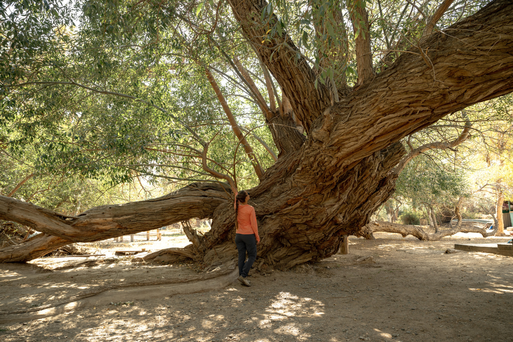 Казахстан + Киргизия с фотографом (58/110)