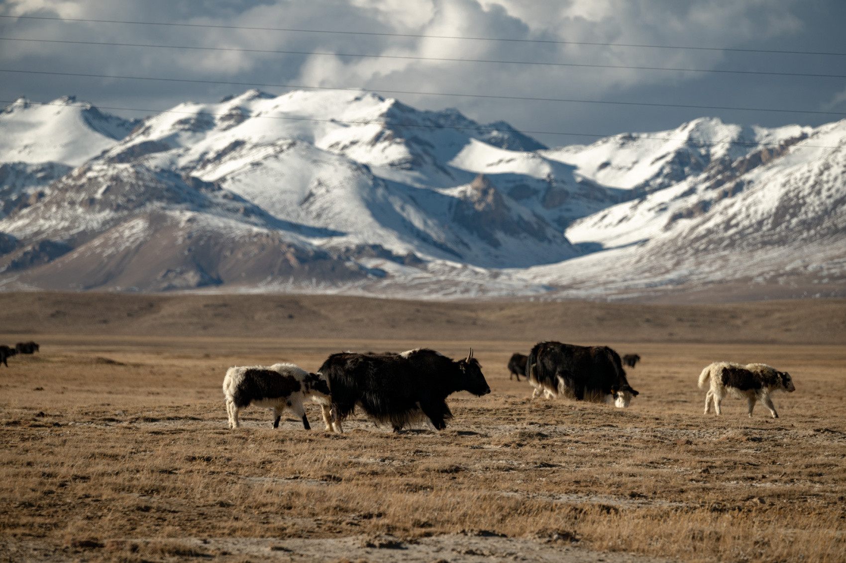 Казахстан + Киргизия с фотографом (45/110)