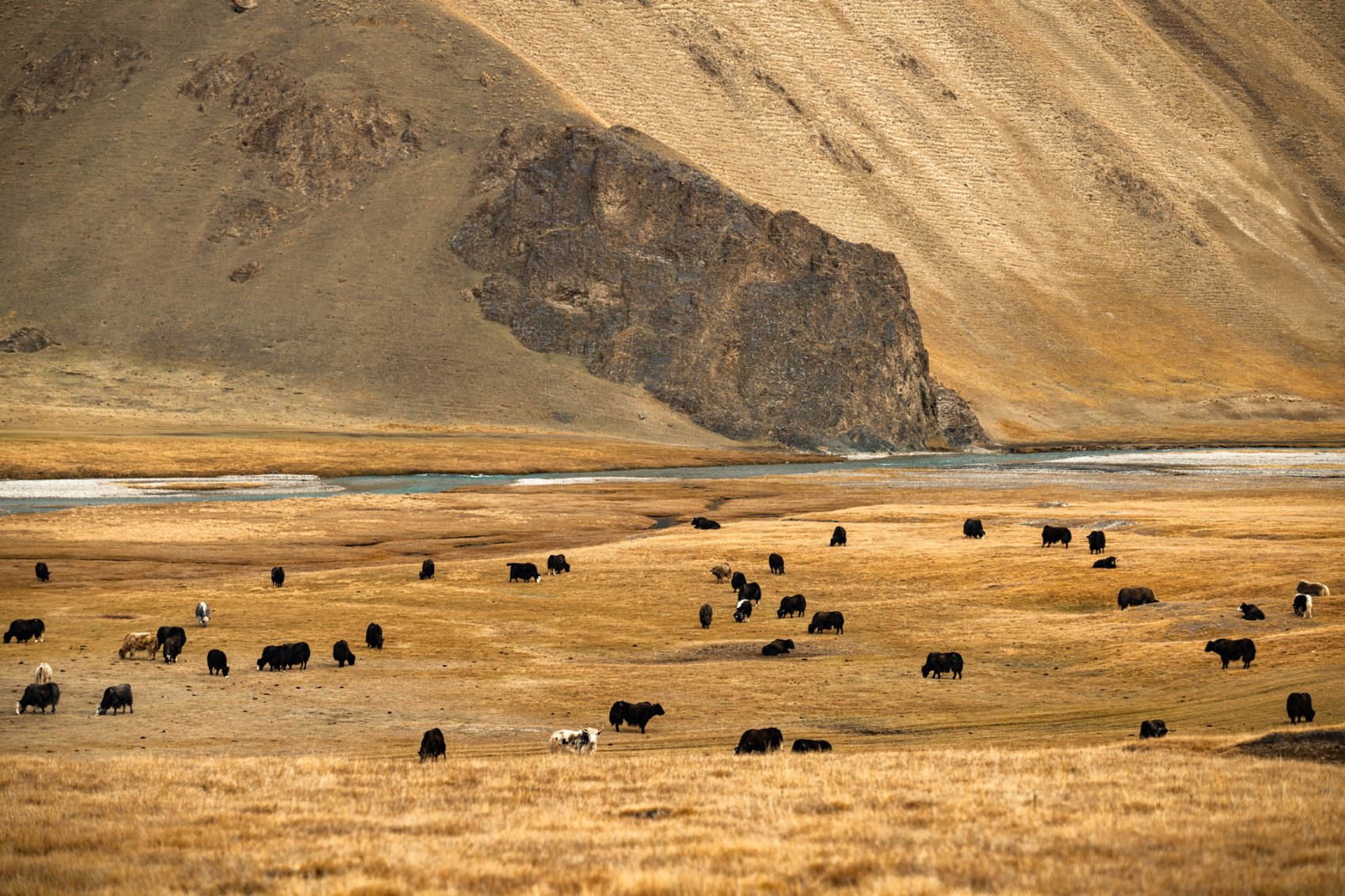 Казахстан + Киргизия с фотографом (38/110)