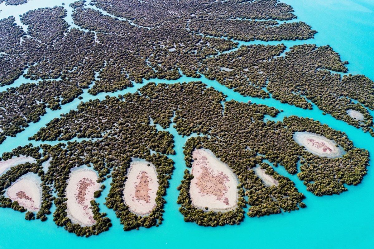 ТЕГЕРАН, пляжи БУШИРА и острова ПЕРСИДСКОГО залива (17/58)