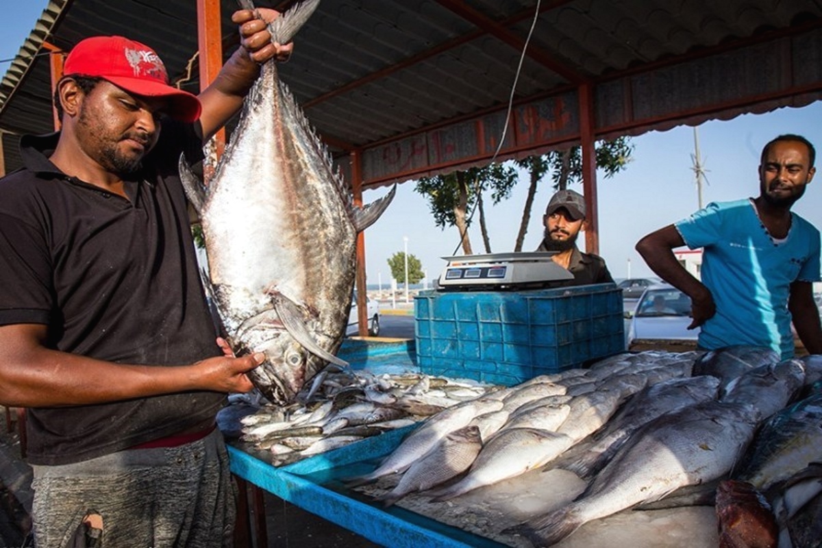 ТЕГЕРАН, пляжи БУШИРА и острова ПЕРСИДСКОГО залива (4/58)