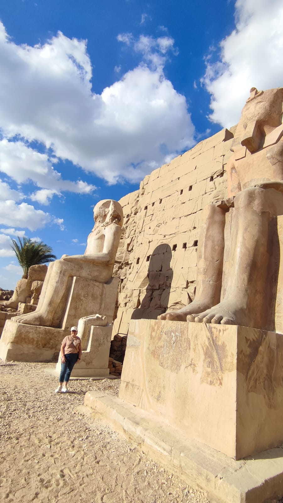 Круиз по нилу из луксора до асуана (12/41)