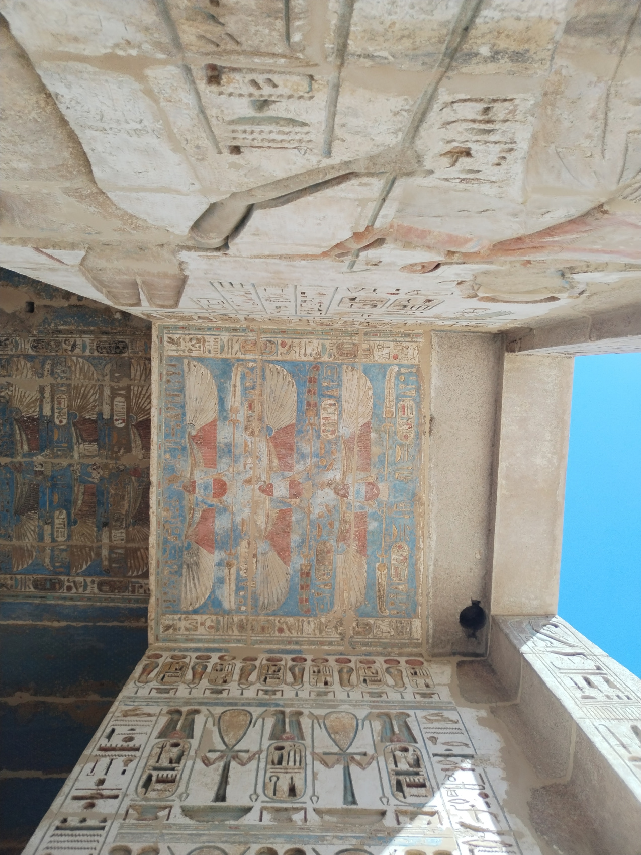 Круиз по нилу из луксора до асуана (40/41)