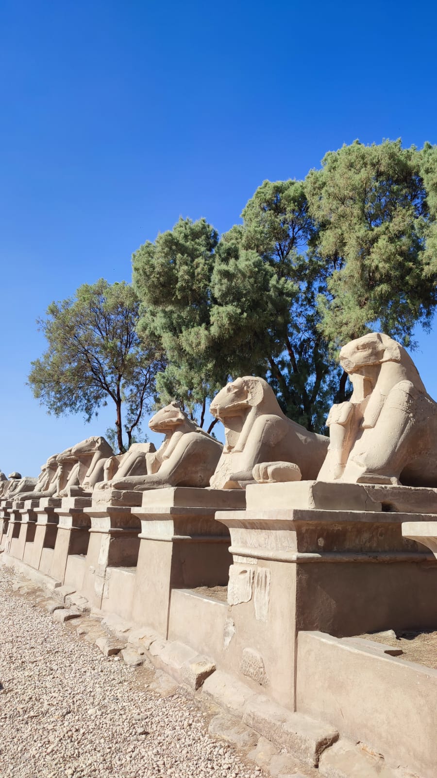 Круиз по нилу из луксора до асуана (6/41)