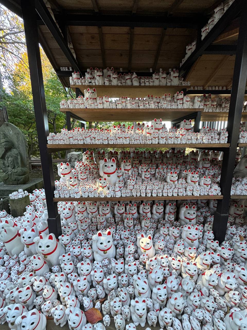 Невероятная Япония. Путь осознанного путешествия (25/67)