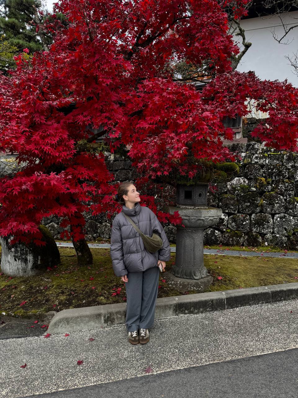 Невероятная Япония. Путь осознанного путешествия (28/67)