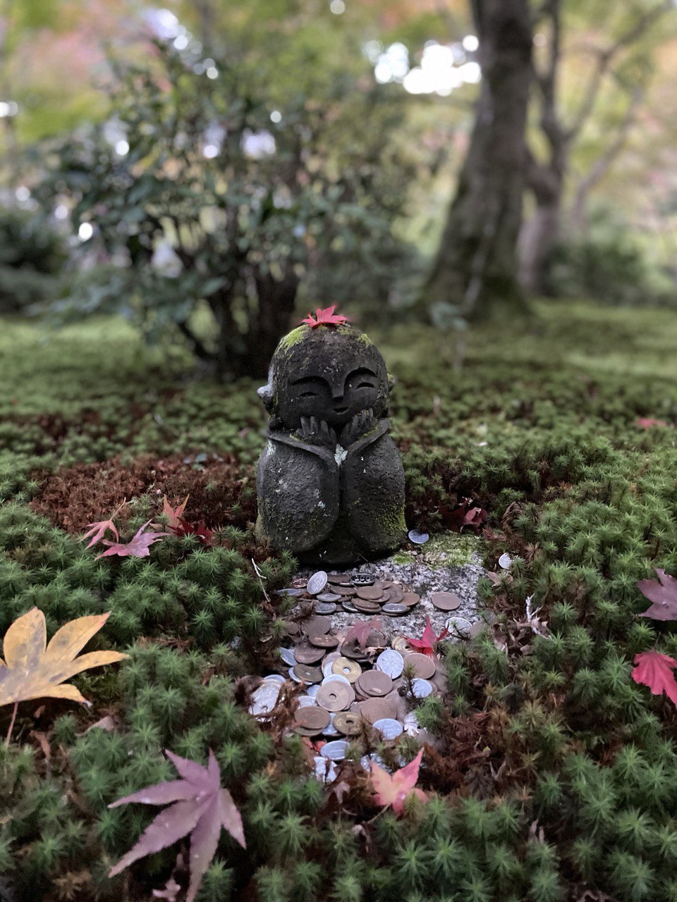 Невероятная Япония. Путь осознанного путешествия (20/67)