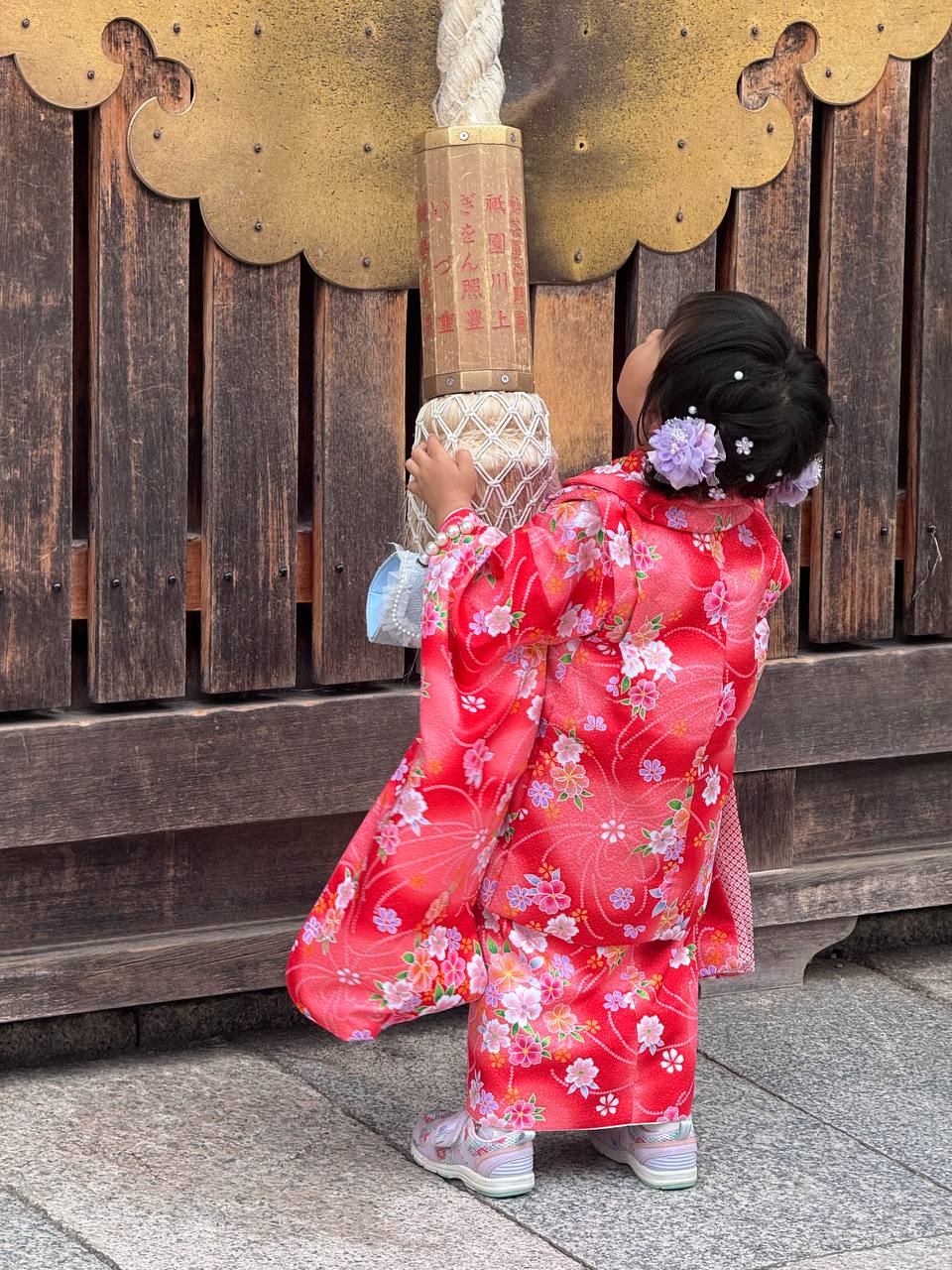 Невероятная Япония. Путь осознанного путешествия (24/67)