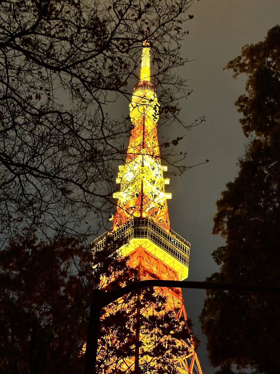 Невероятная Япония. Путь осознанного путешествия (31/67)