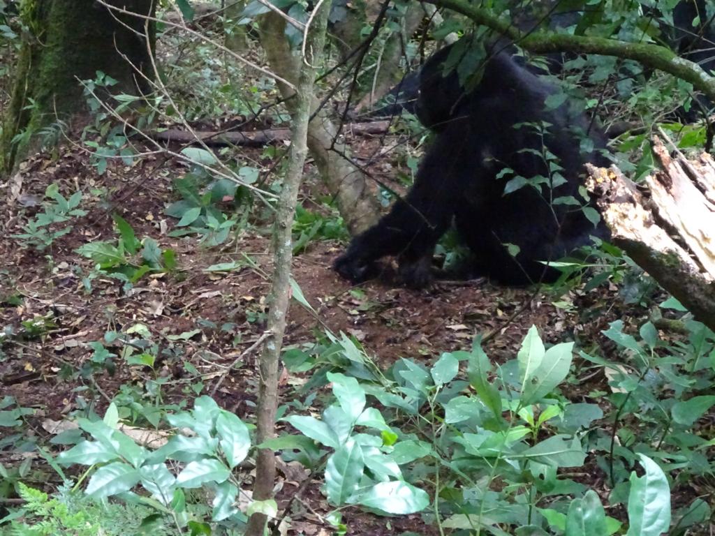 Одна удивительная африканская неделя  (5/11)