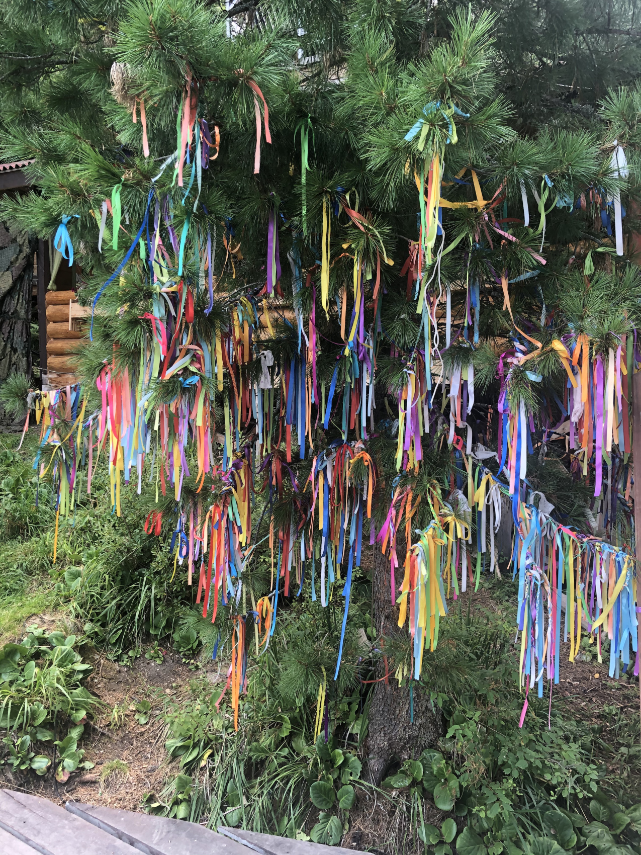 Ты Любовь - Алтайское Путешествие Со Смыслом (9/142)