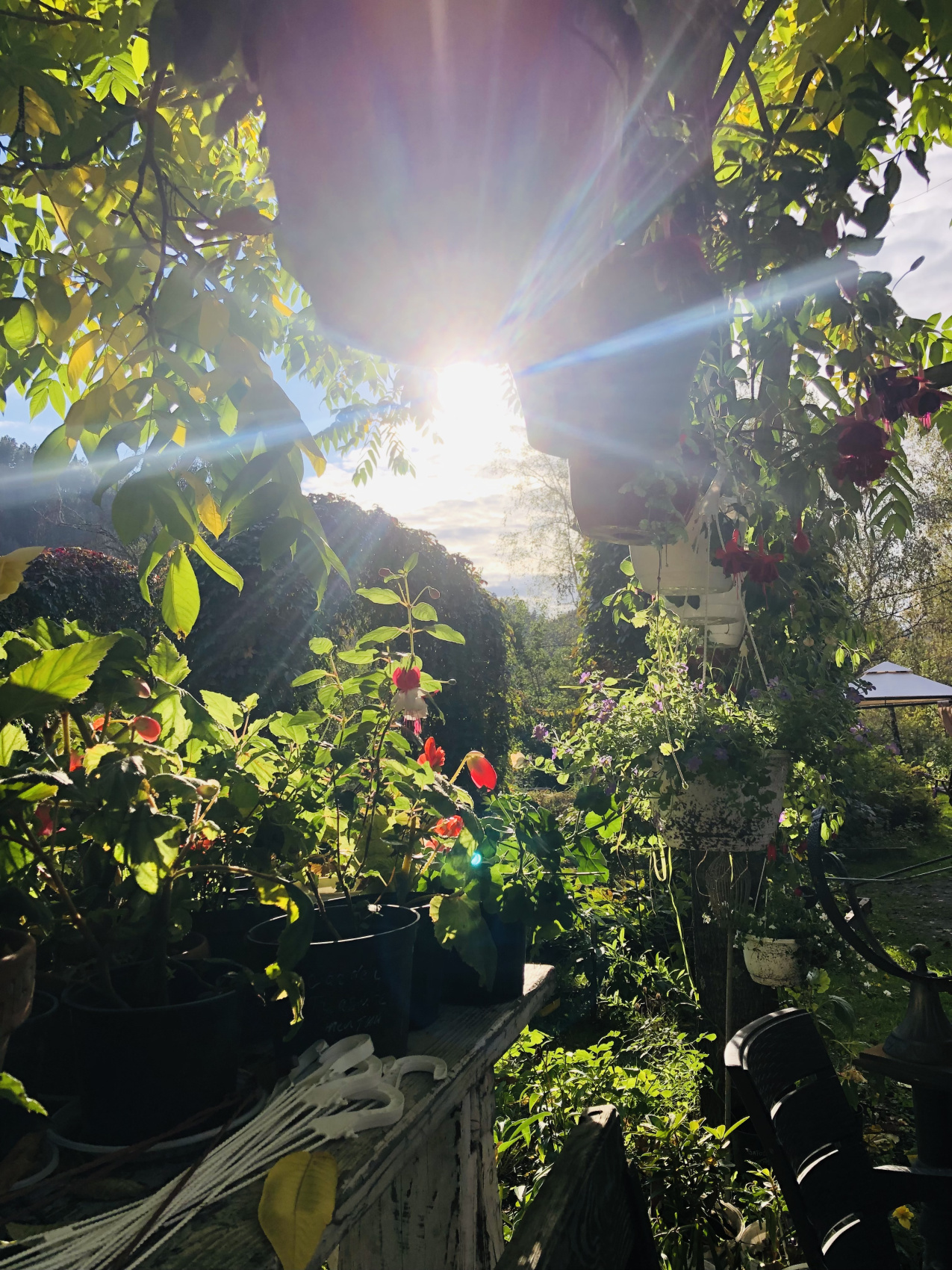 Ты Любовь - Алтайское Путешествие Со Смыслом (34/142)