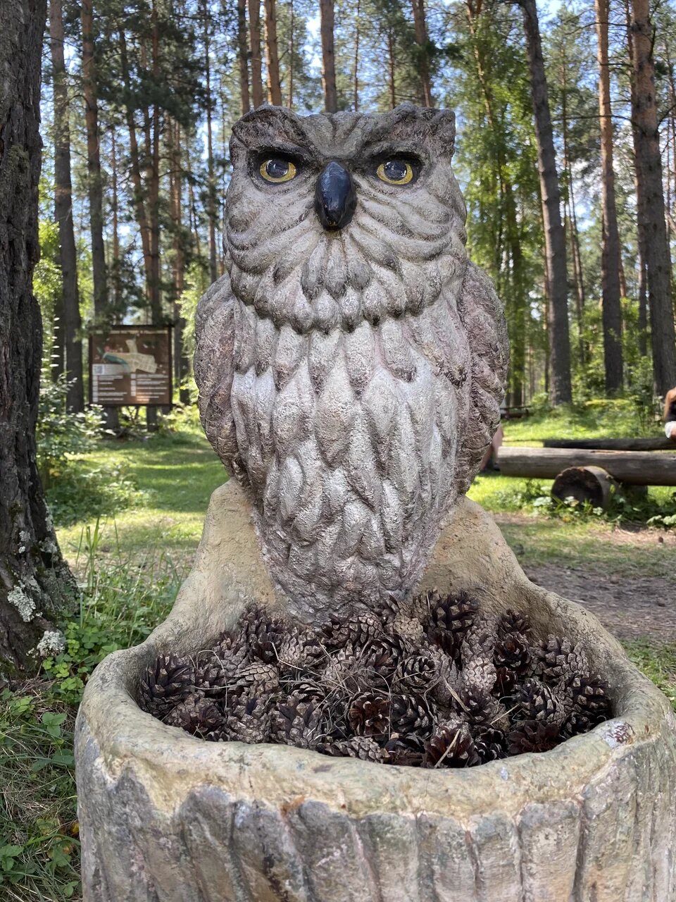 Ты Любовь - Алтайское Путешествие Со Смыслом (22/142)