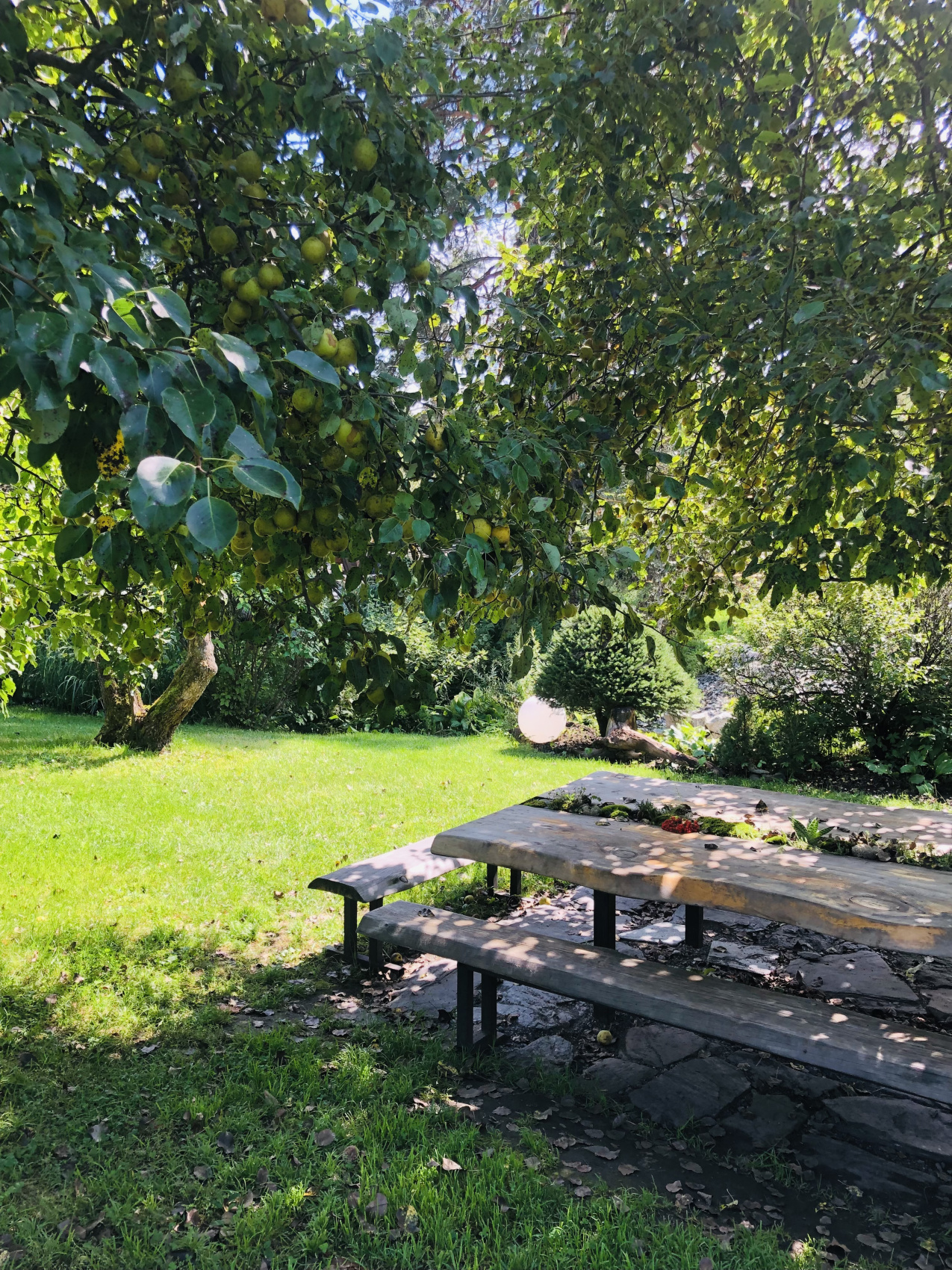 Ты Любовь - Алтайское Путешествие Со Смыслом (63/142)