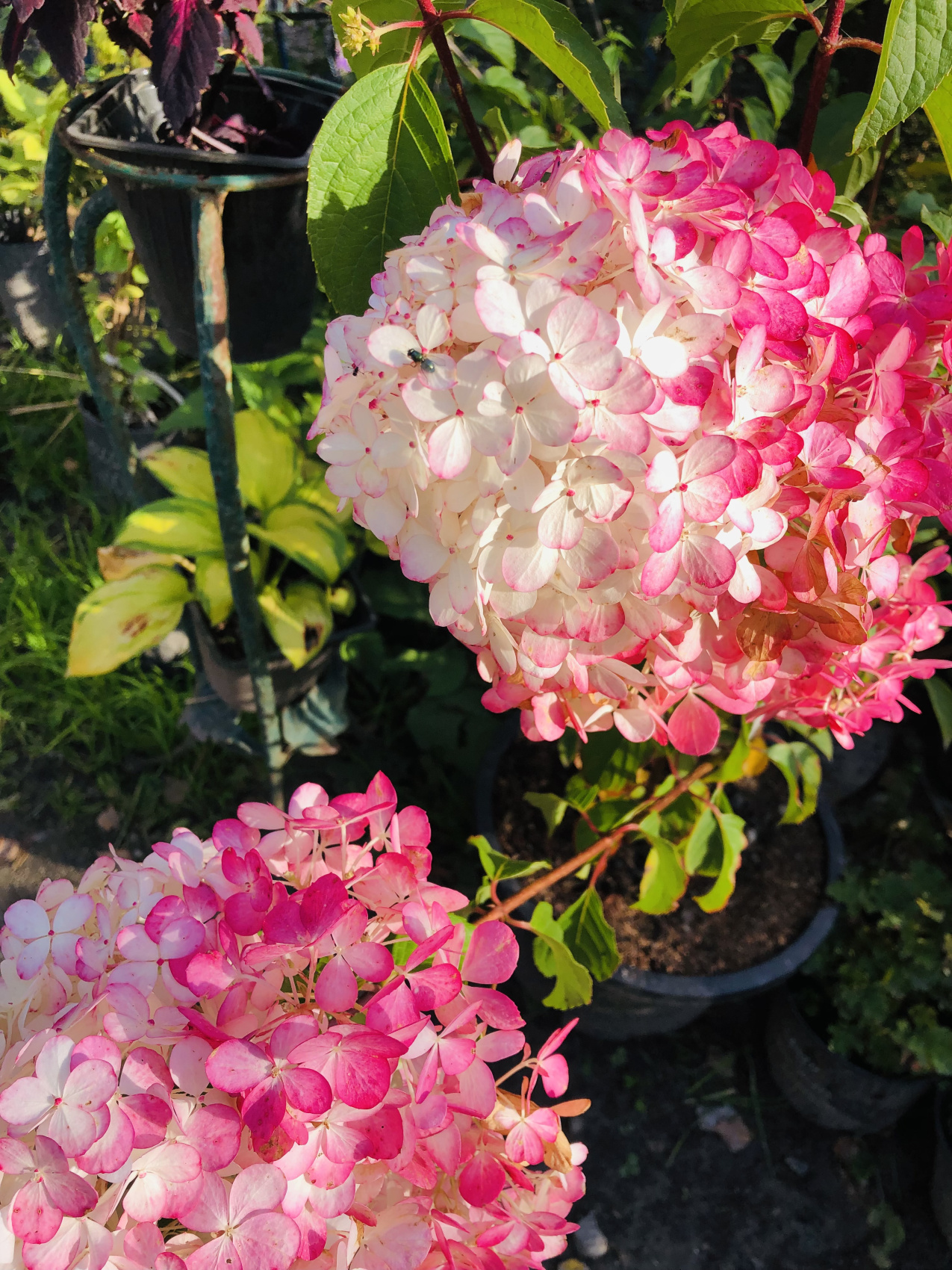 Ты Любовь - Алтайское Путешествие Со Смыслом (30/142)