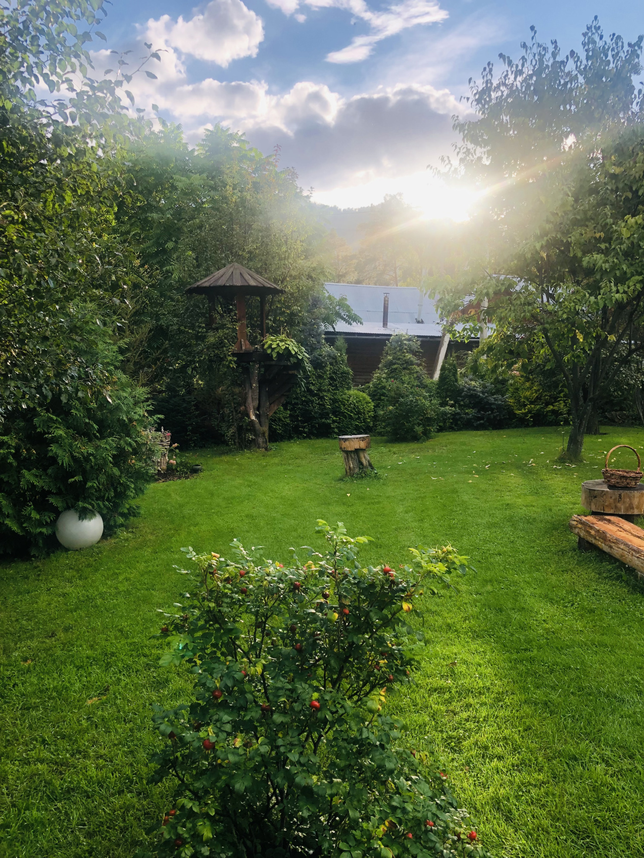 Ты Любовь - Алтайское Путешествие Со Смыслом (38/142)