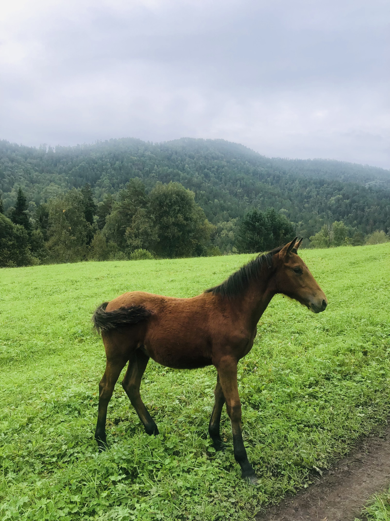 Ты Любовь - Алтайское Путешествие Со Смыслом (43/142)