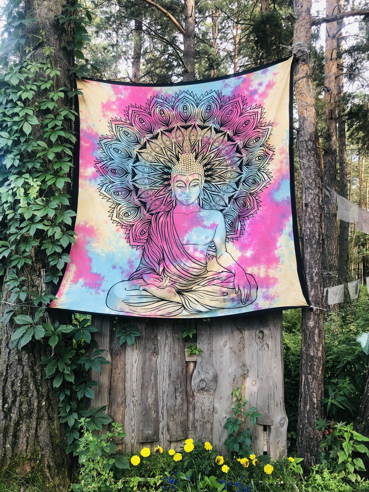 Ты Любовь - Алтайское Путешествие Со Смыслом (66/142)