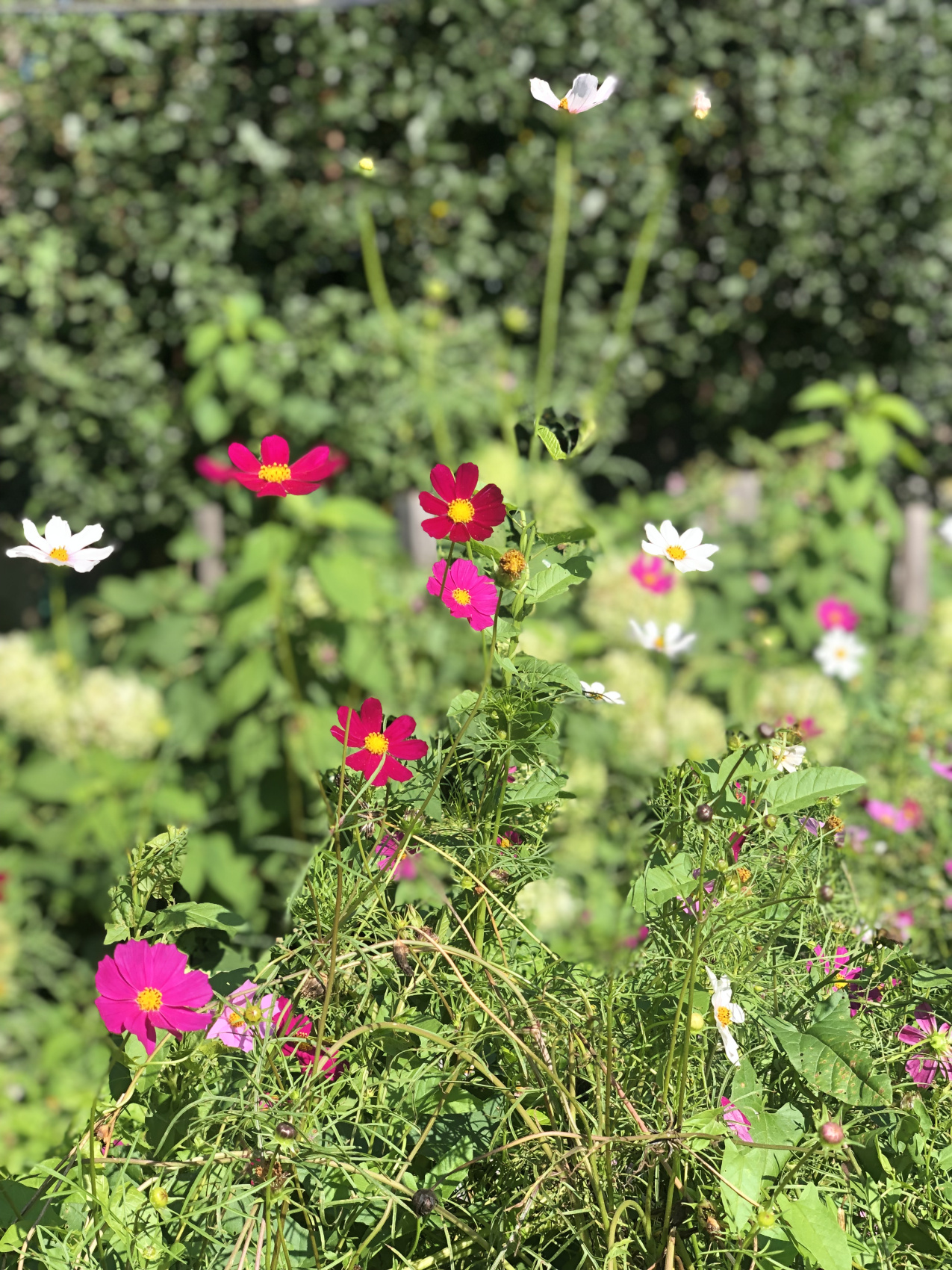 Ты Любовь - Алтайское Путешествие Со Смыслом (68/142)