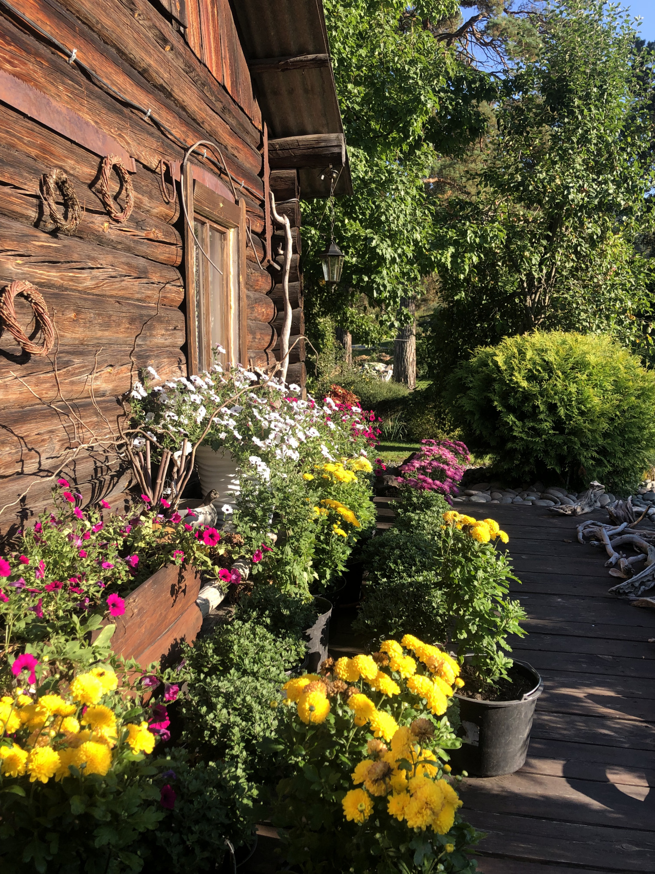 Ты Любовь - Алтайское Путешествие Со Смыслом (18/142)