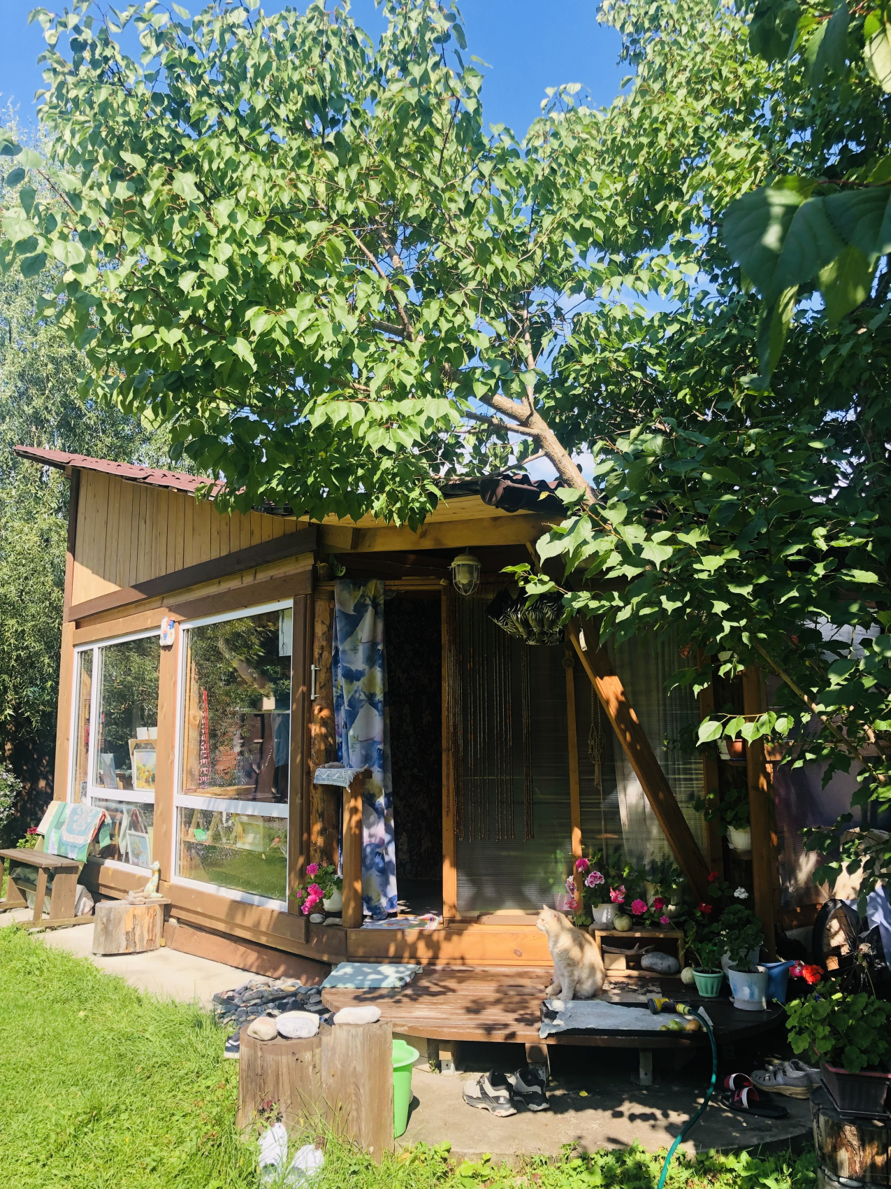 Ты Любовь - Алтайское Путешествие Со Смыслом (51/142)