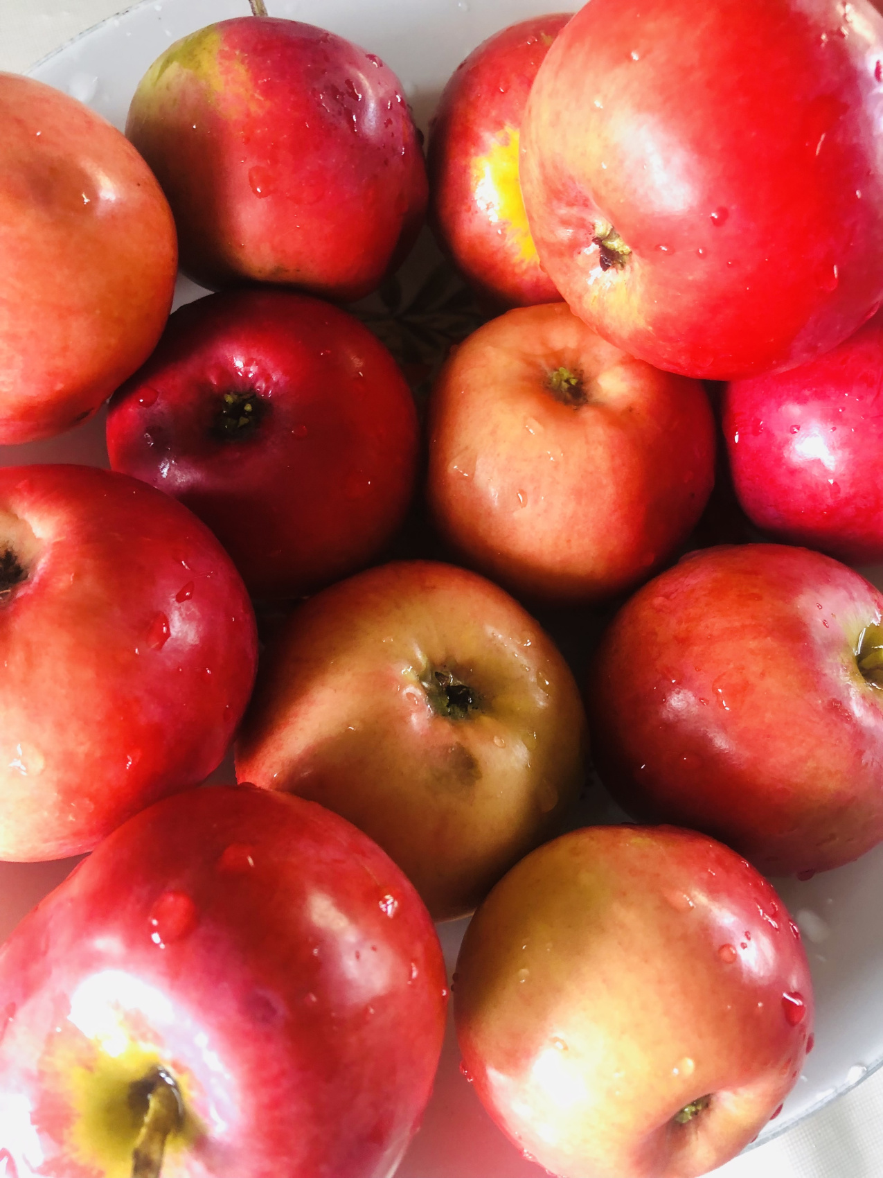 Ты Любовь - Алтайское Путешествие Со Смыслом (47/142)