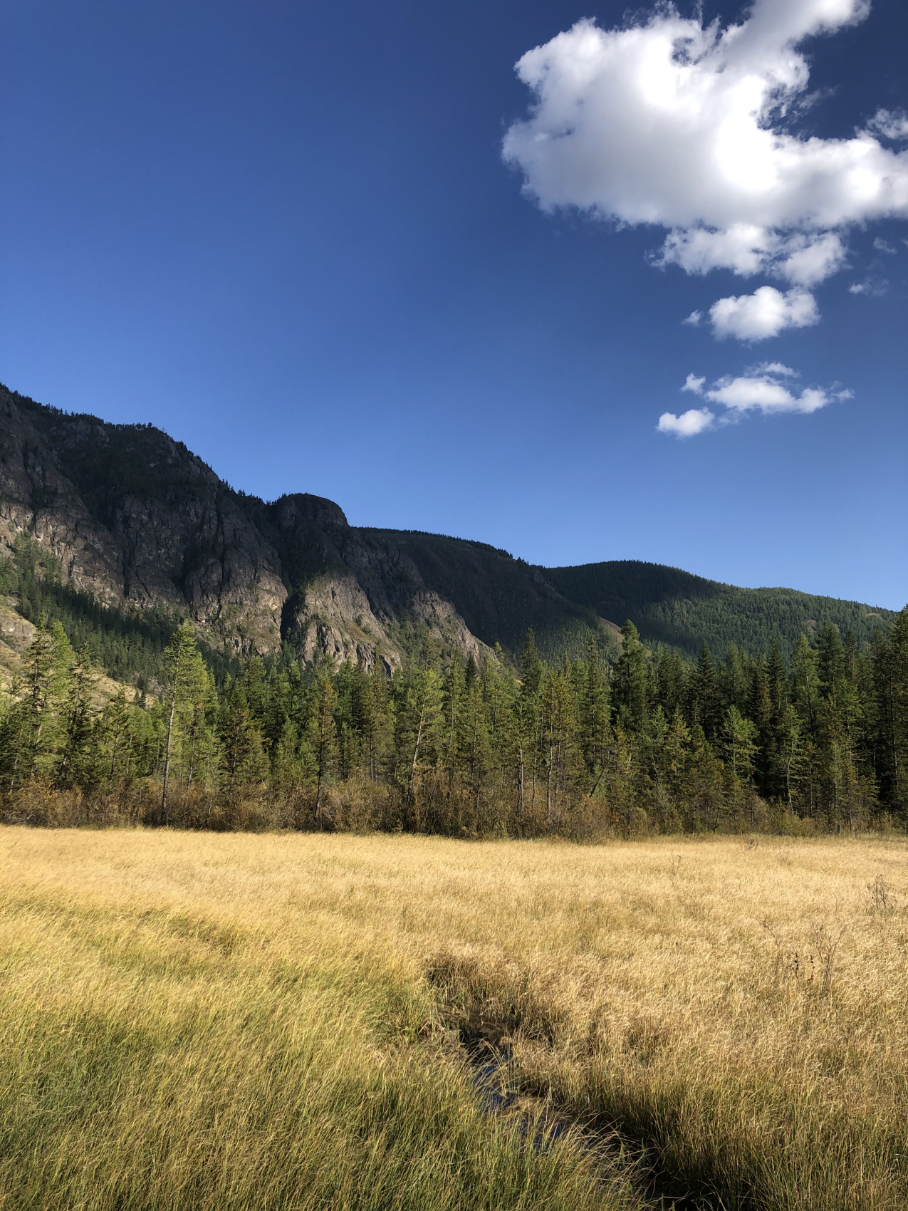 Ты Любовь - Алтайское Путешествие Со Смыслом (8/142)
