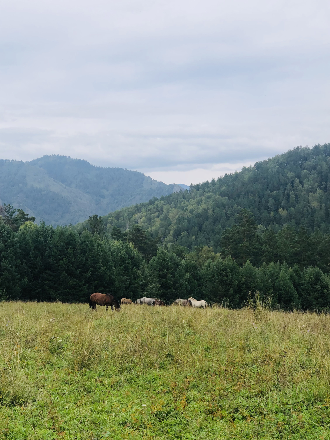 Ты Любовь - Алтайское Путешествие Со Смыслом (46/142)