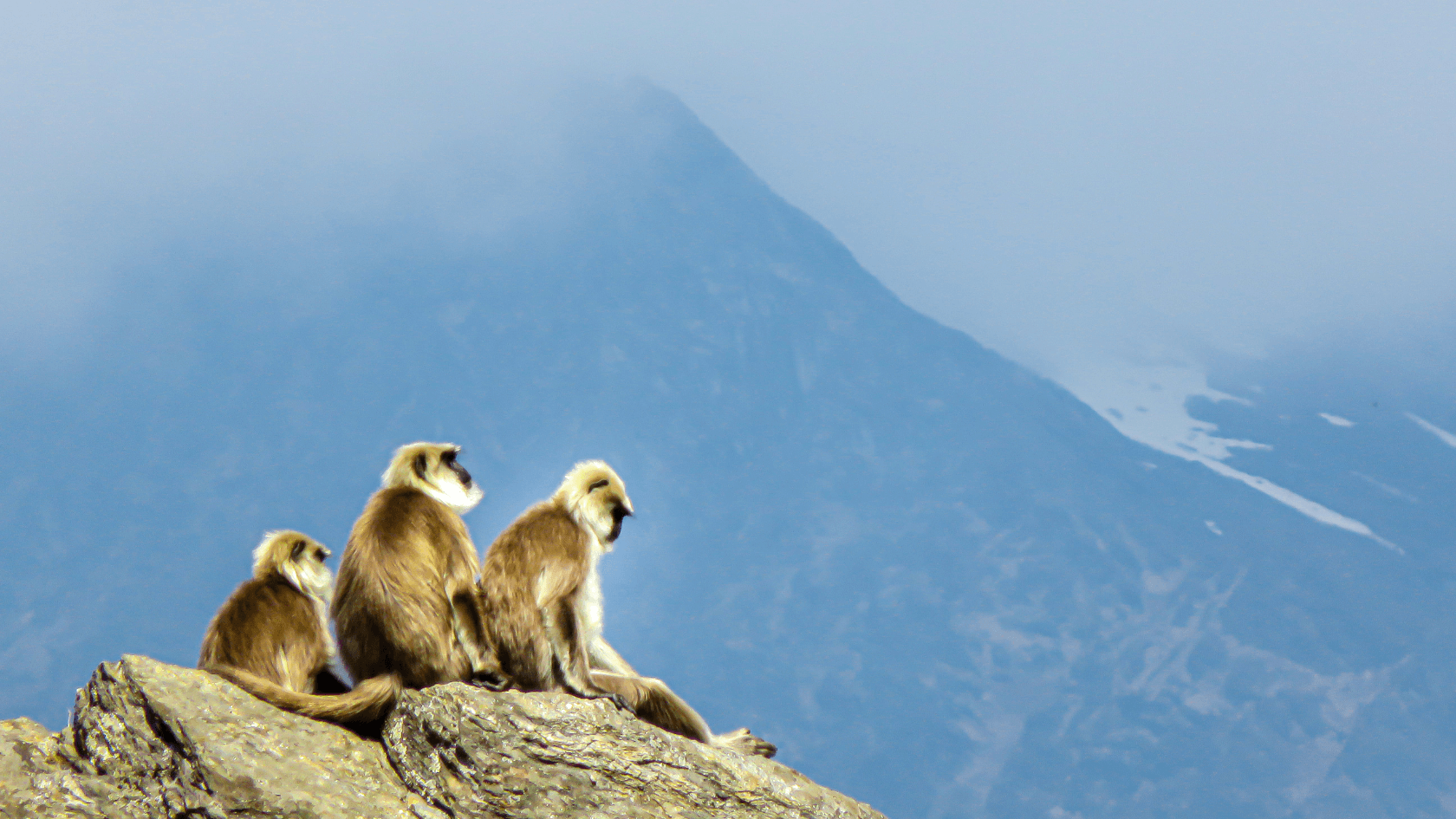 Трек Лангтанг. Тропами Рериха. (3/61)