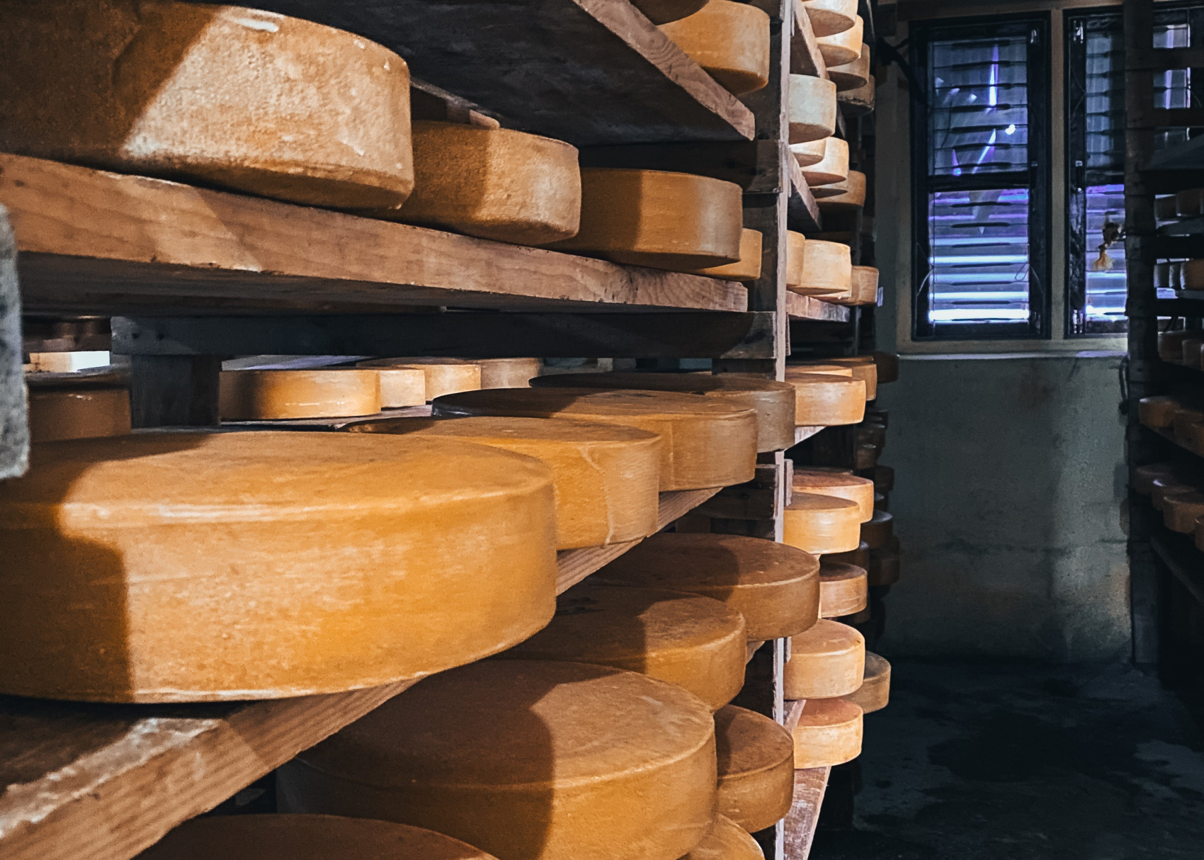 Трек Лангтанг. Тропами Рериха. (27/61)