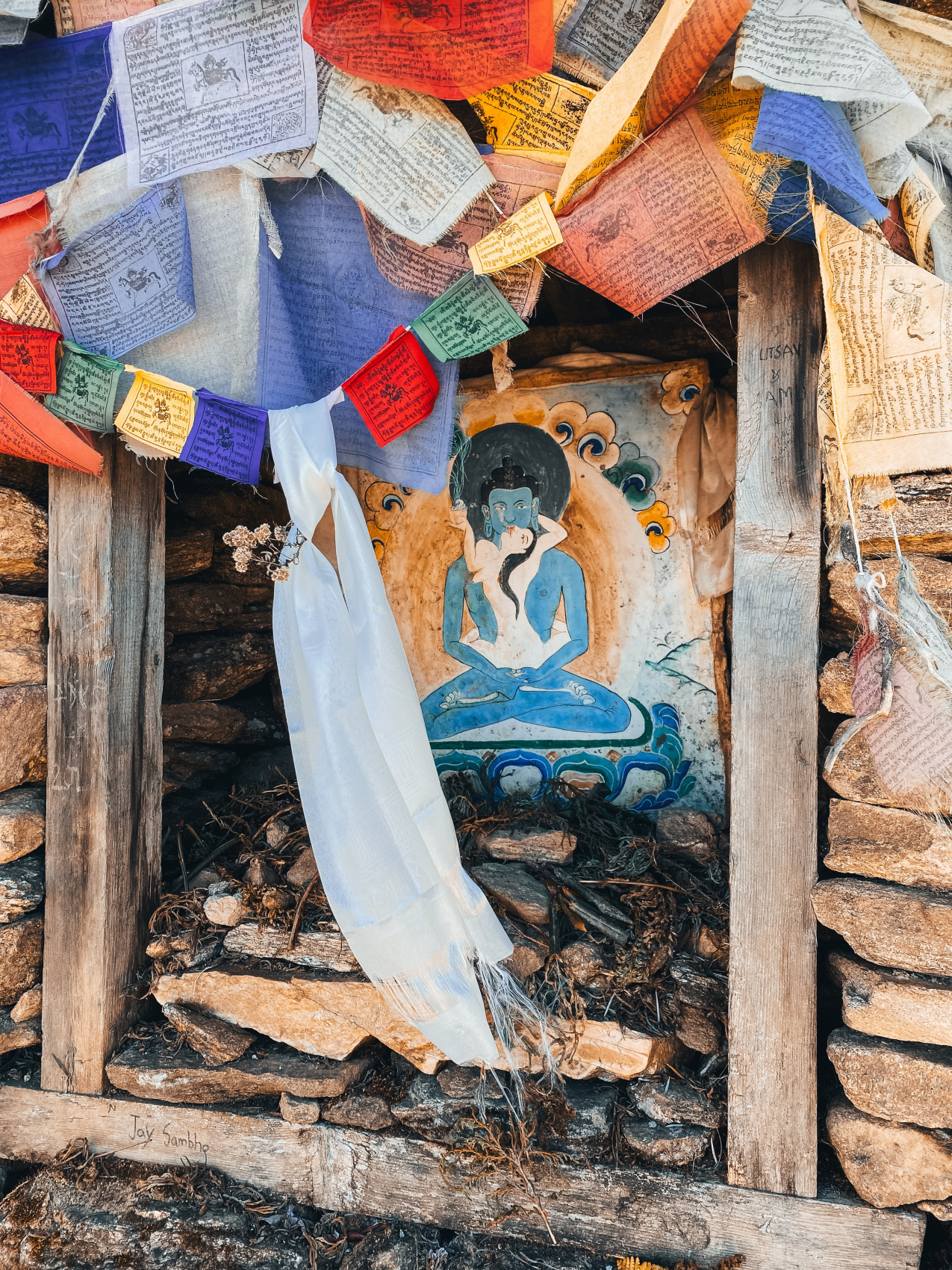 Трек Лангтанг. Тропами Рериха. (14/61)