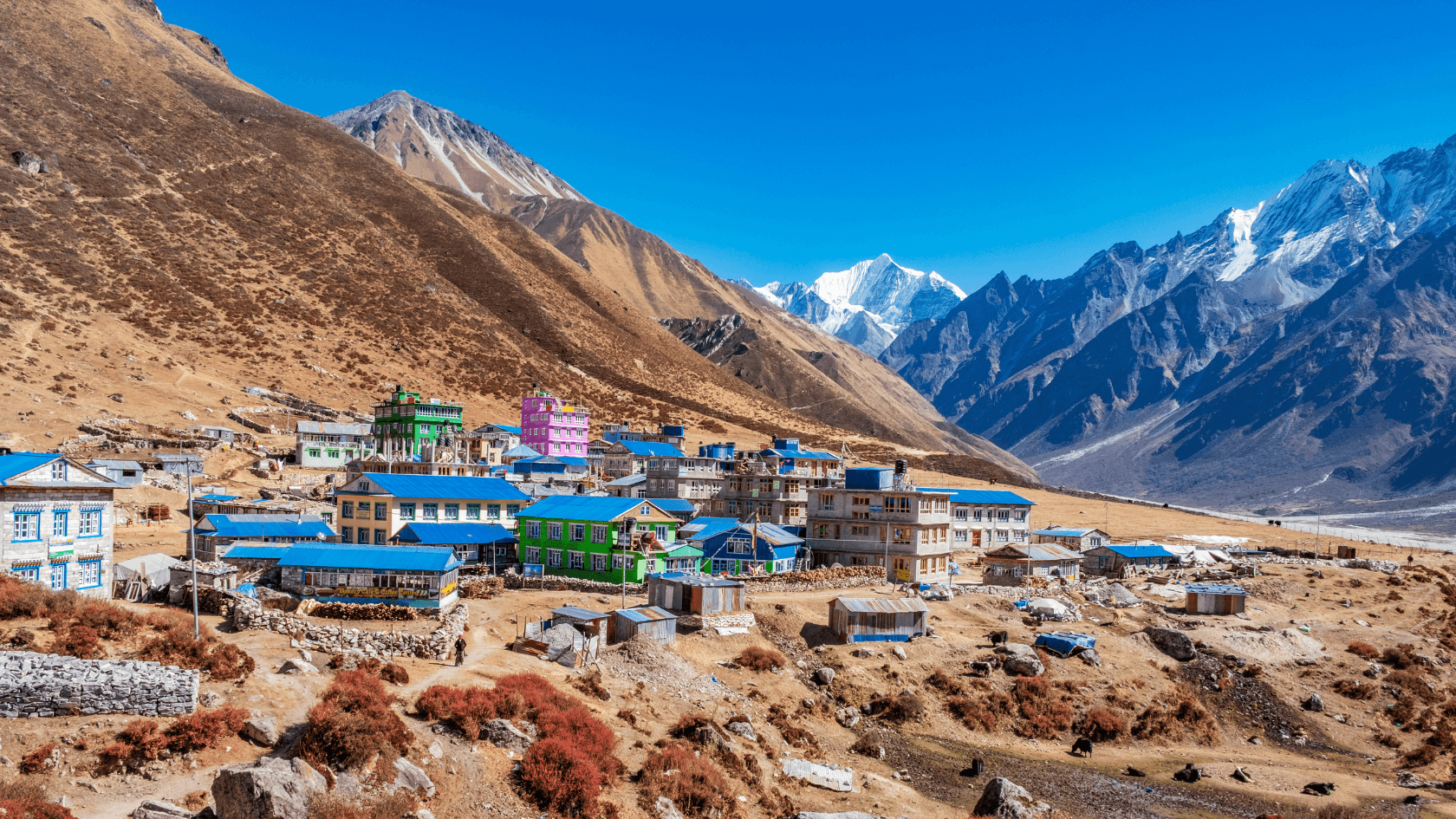 Трек Лангтанг. Тропами Рериха. (2/61)