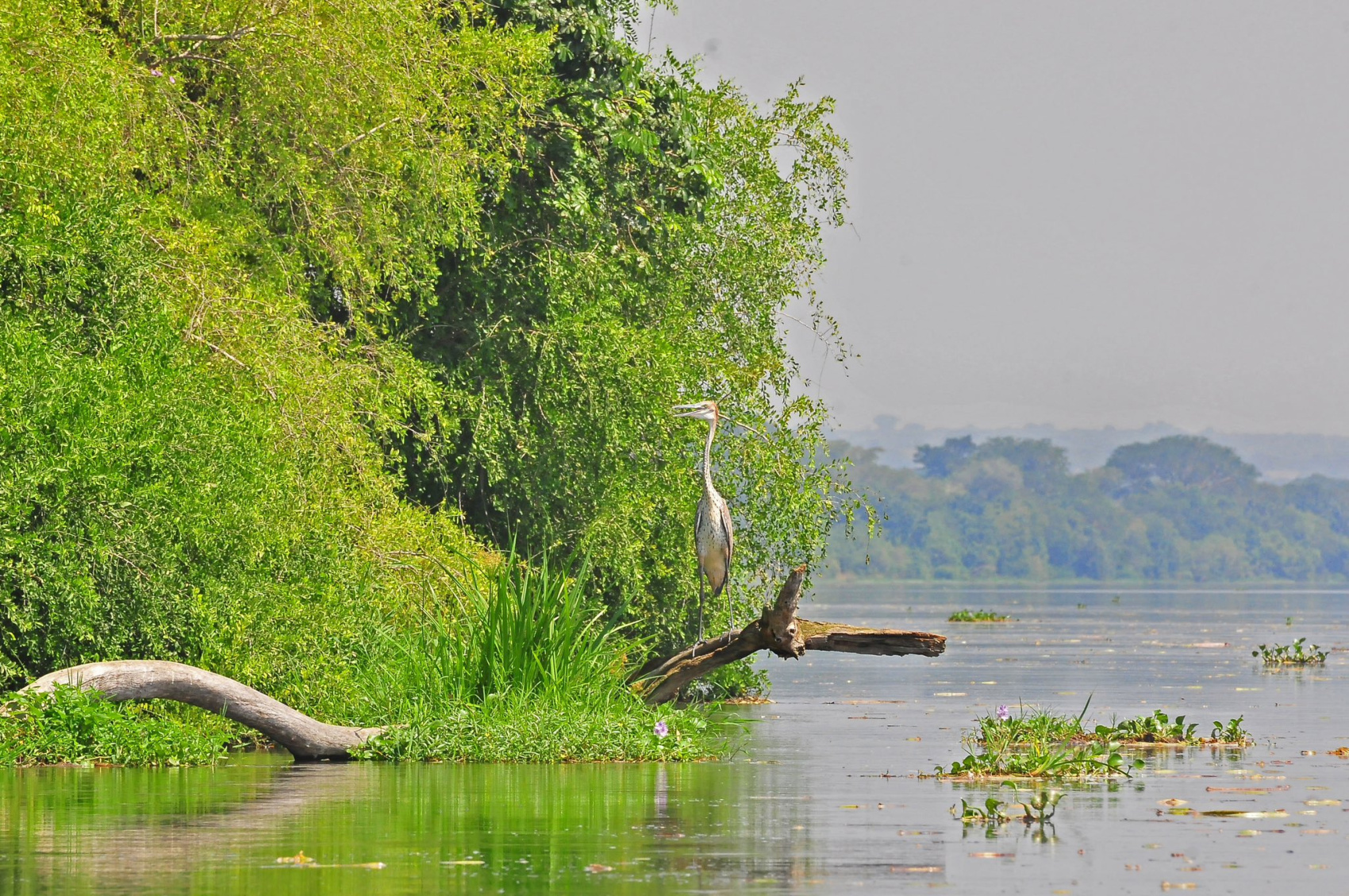 3-ДНЕВНОЕ САФАРИ НА ВОДОПАД МЕРЧИСОН (5/10)
