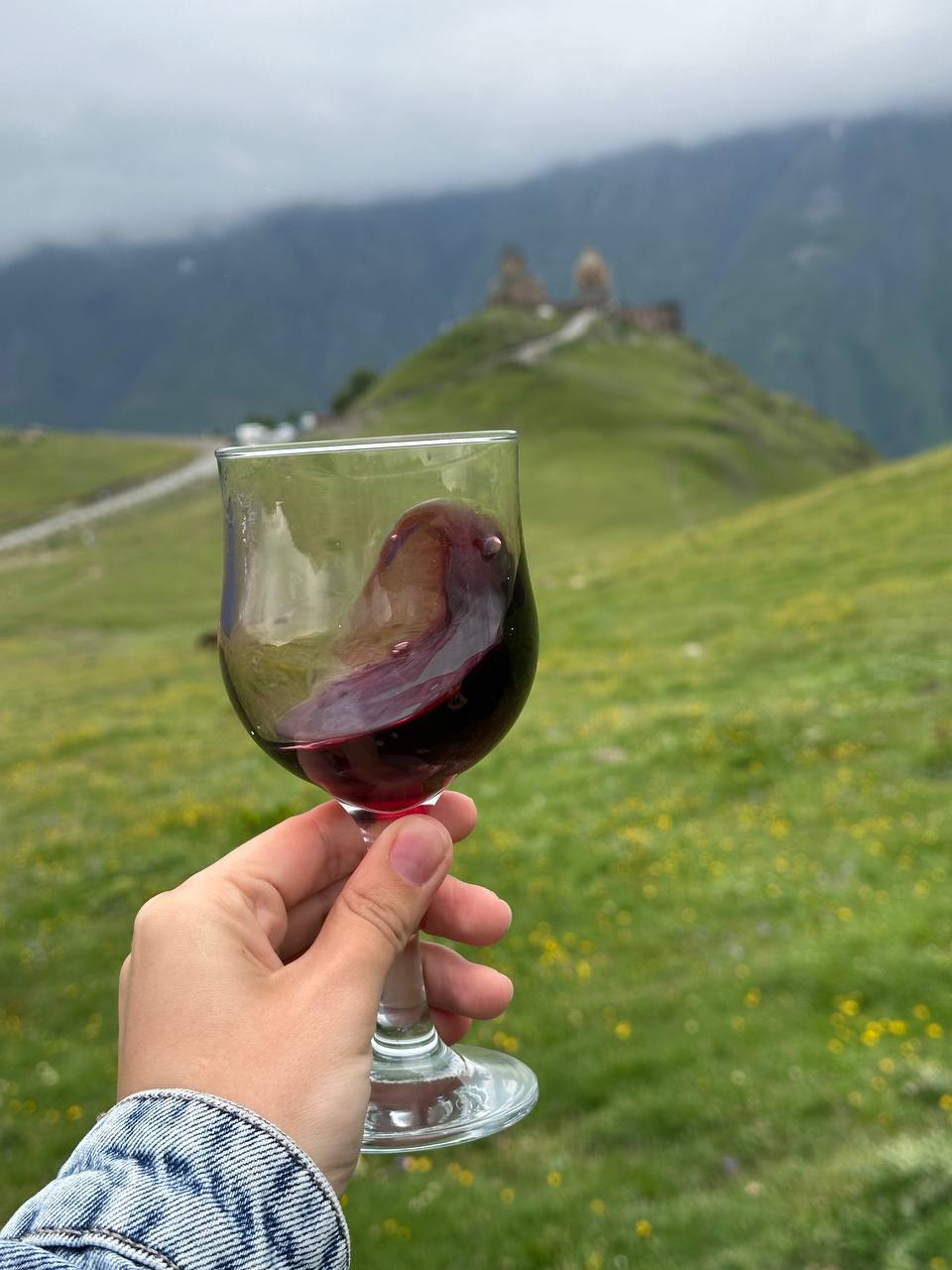 Грузия - веселый молодежный и комфортный тур (винодельни, мастер-класс, горы и море) (73/151)