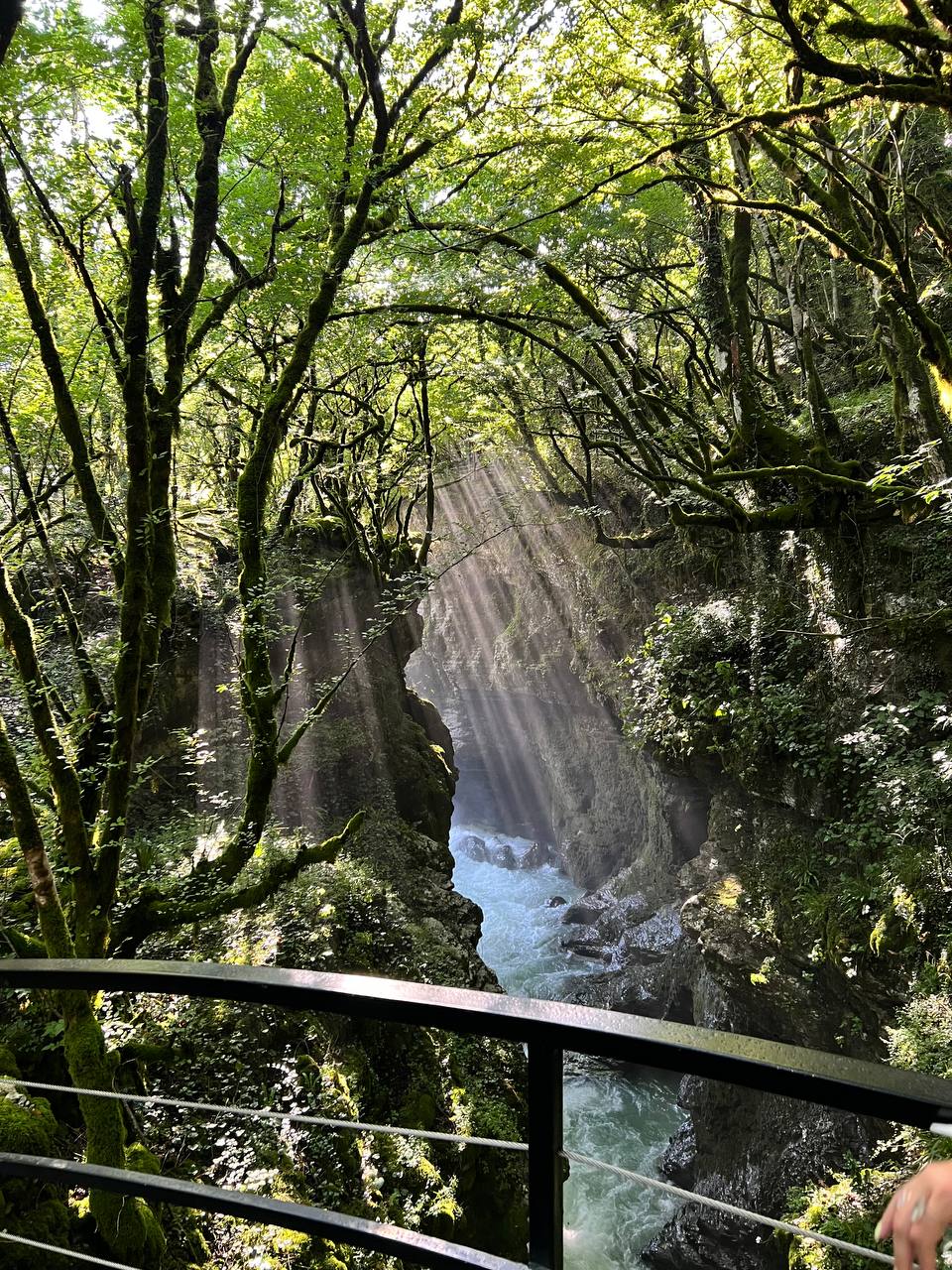 Грузия - веселый молодежный и комфортный тур (винодельни, мастер-класс, горы и море) (15/151)