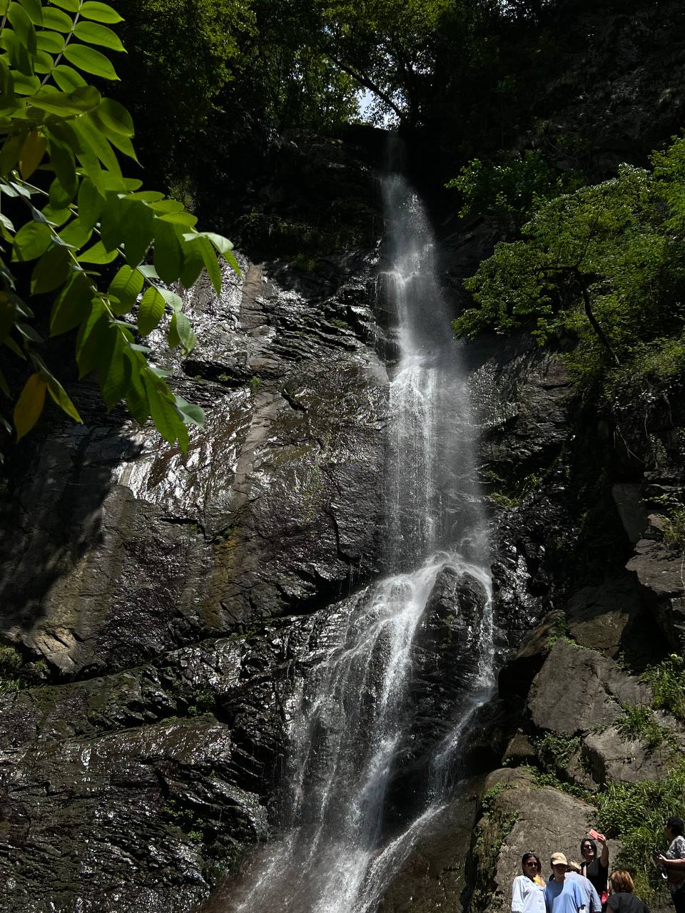 Грузия - веселый молодежный и комфортный тур (винодельни, мастер-класс, горы и море) (63/151)