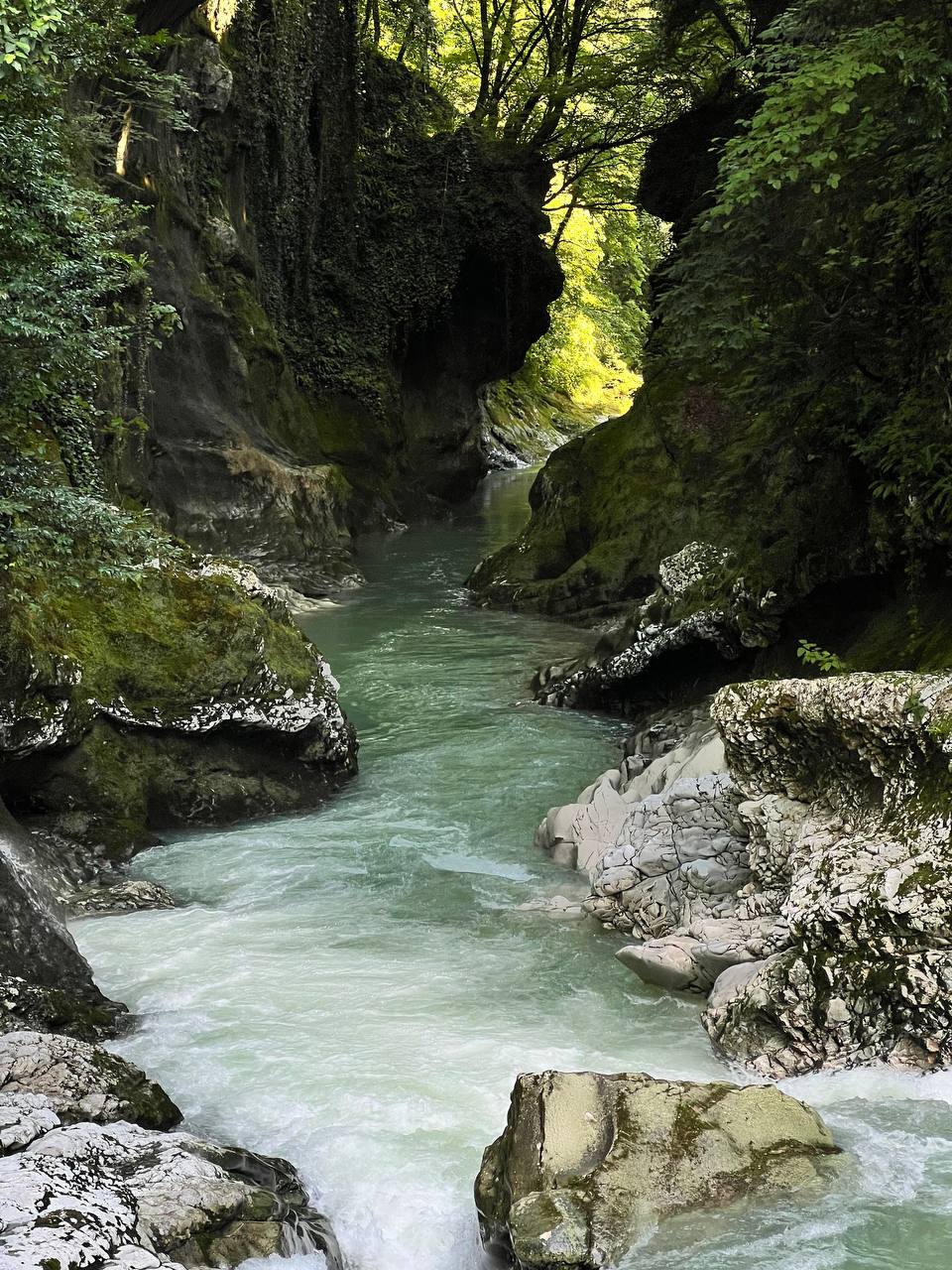 Грузия - веселый молодежный и комфортный тур (винодельни, мастер-класс, горы и море) (65/151)