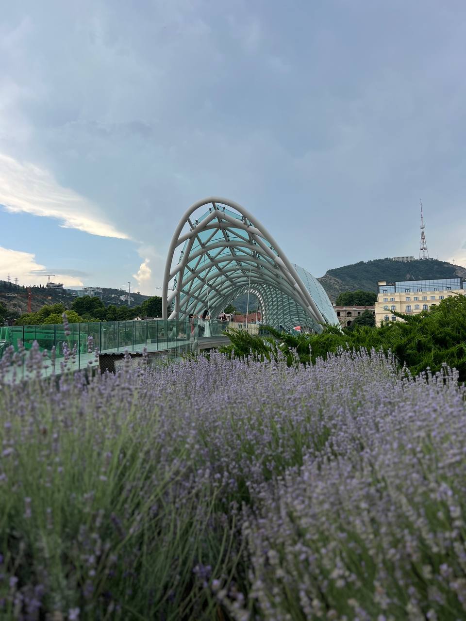 Грузия - веселый молодежный и комфортный тур (винодельни, мастер-класс, горы и море) (129/151)