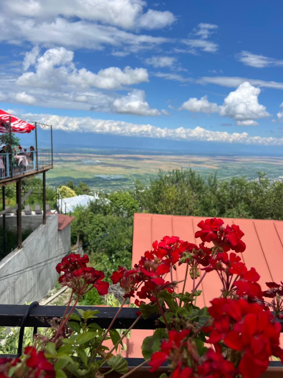 Грузия - веселый молодежный и комфортный тур (винодельни, мастер-класс, горы и море) (109/151)