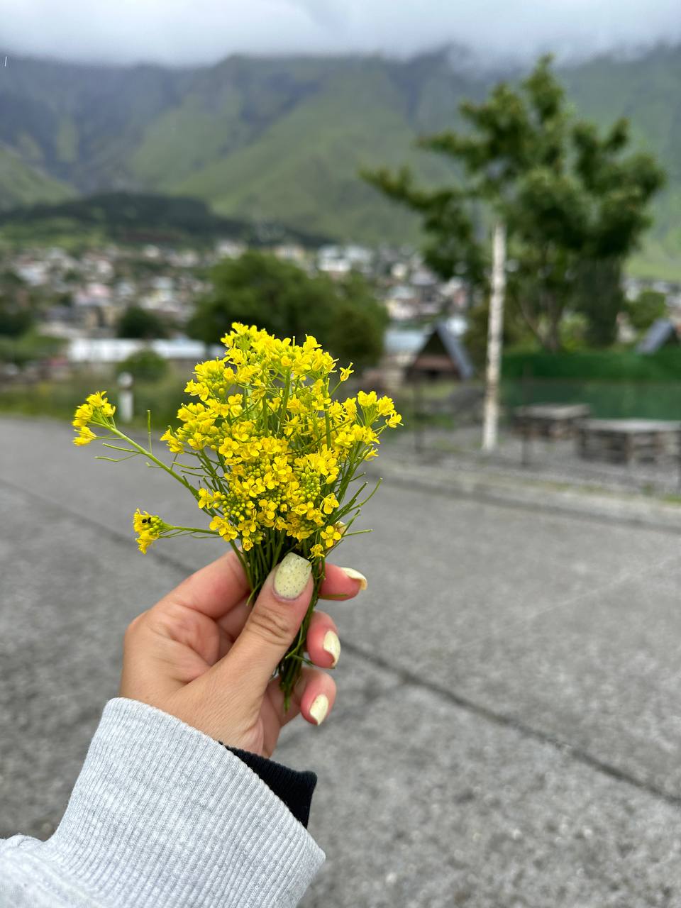 Грузия - веселый молодежный и комфортный тур (винодельни, мастер-класс, горы и море) (71/151)