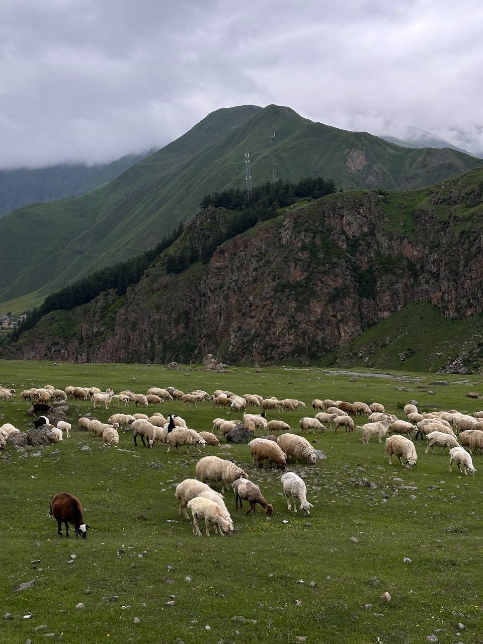 Грузия - веселый молодежный и комфортный тур (винодельни, мастер-класс, горы и море) (76/151)