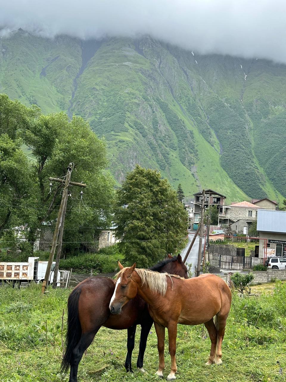 Грузия - веселый молодежный и комфортный тур (винодельни, мастер-класс, горы и море) (8/151)