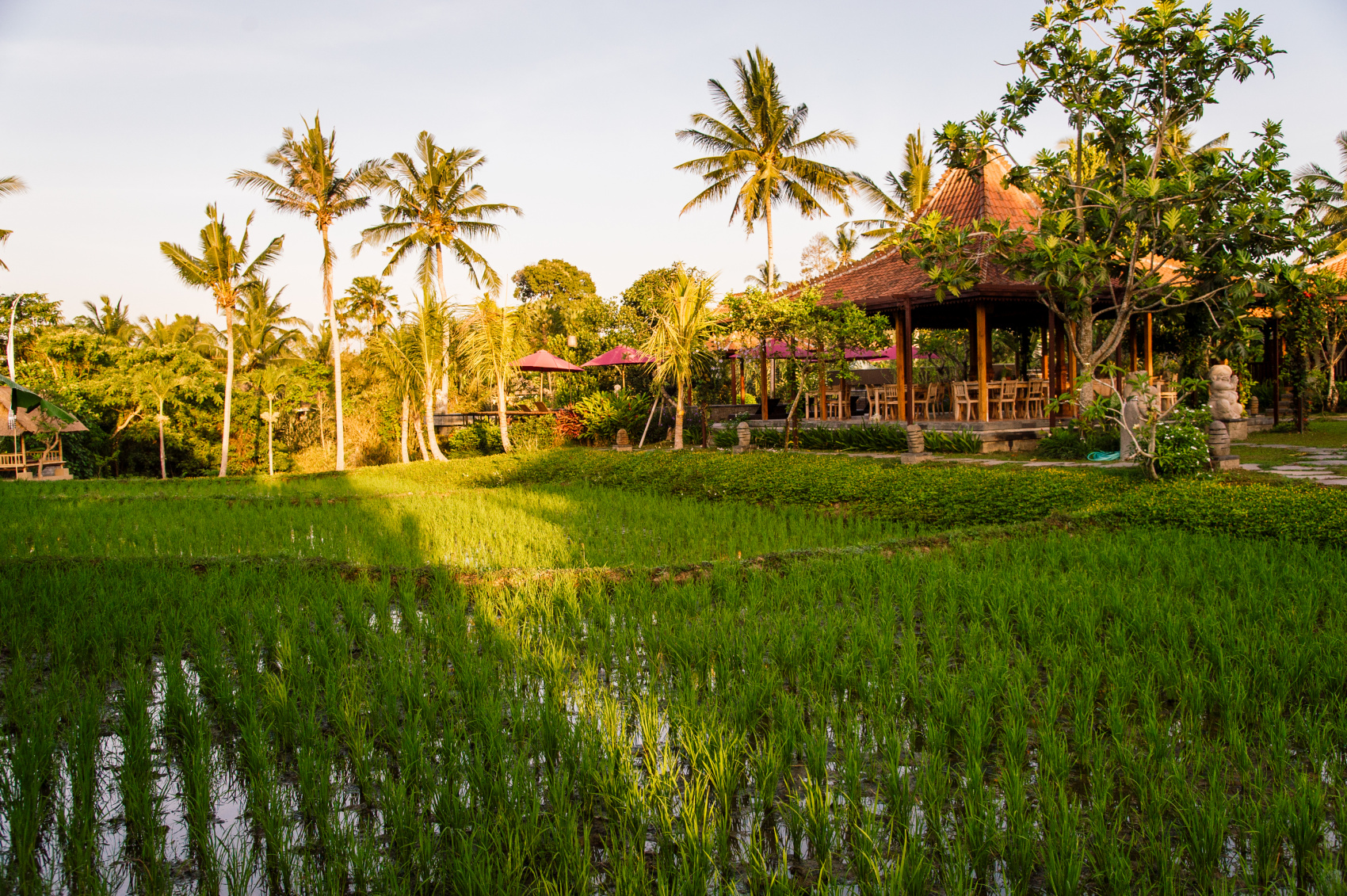 Остров мечты за 10 дней (15/58)