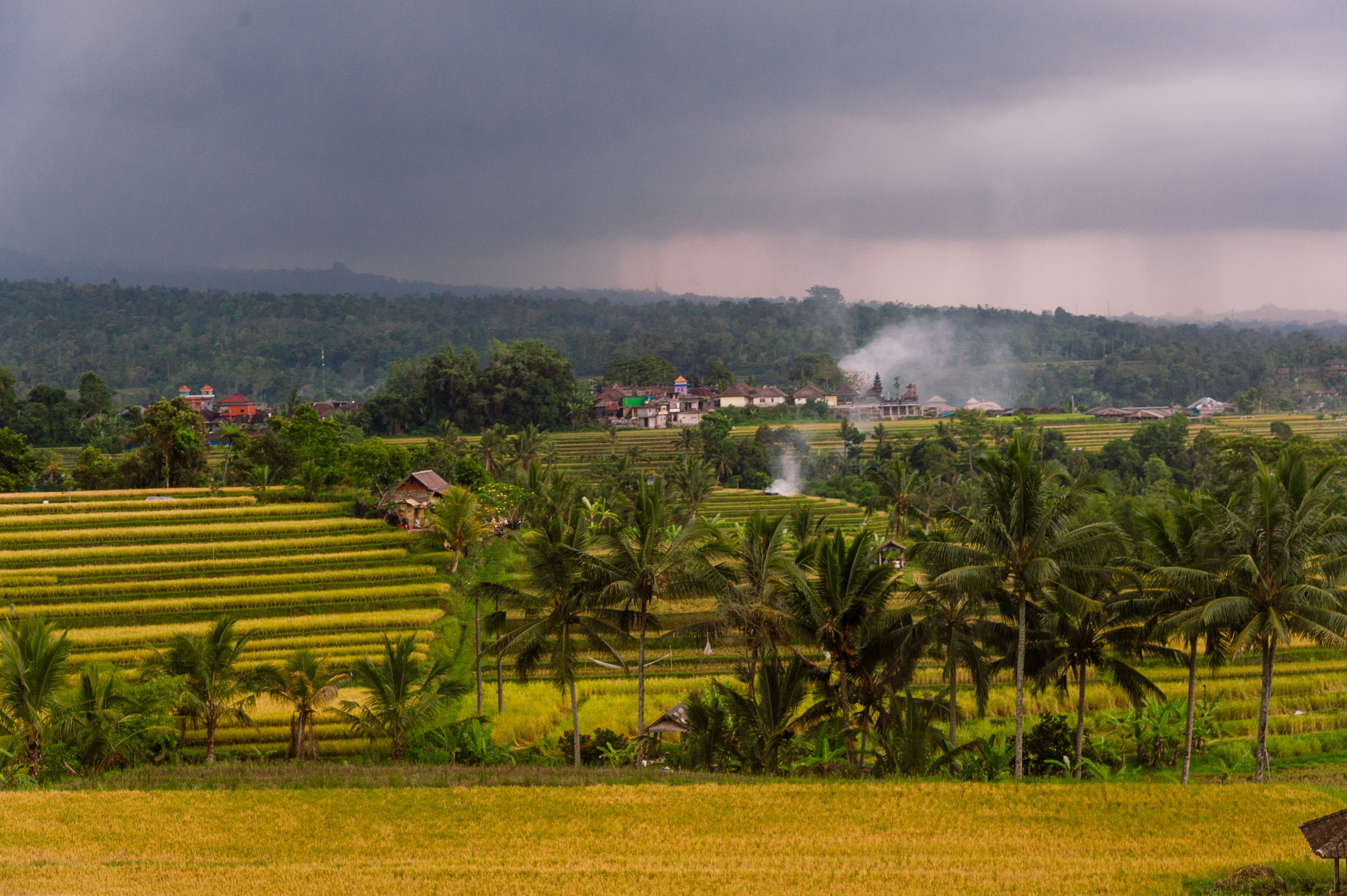 Остров мечты за 10 дней (20/58)