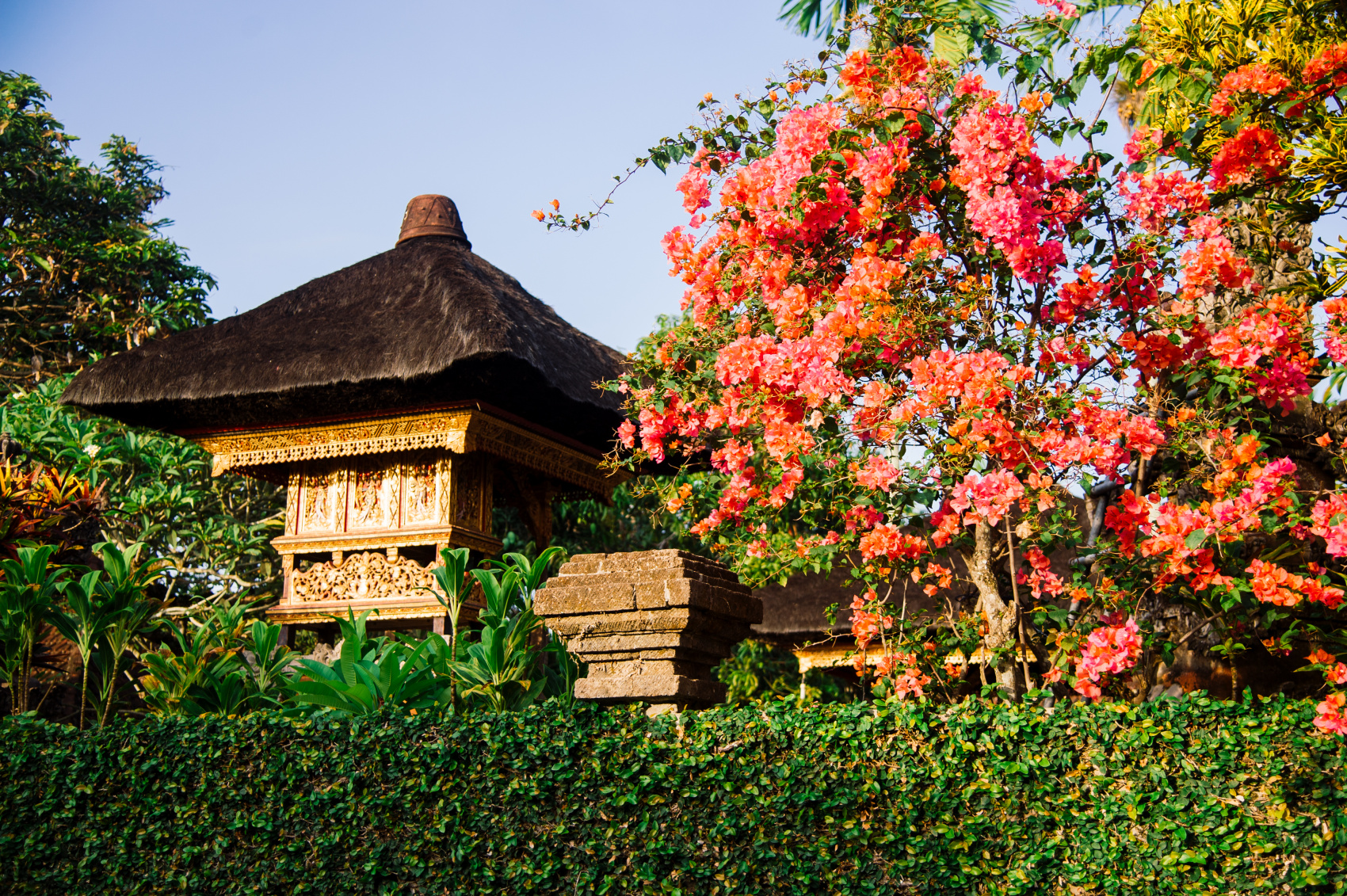 Остров мечты за 10 дней (22/58)