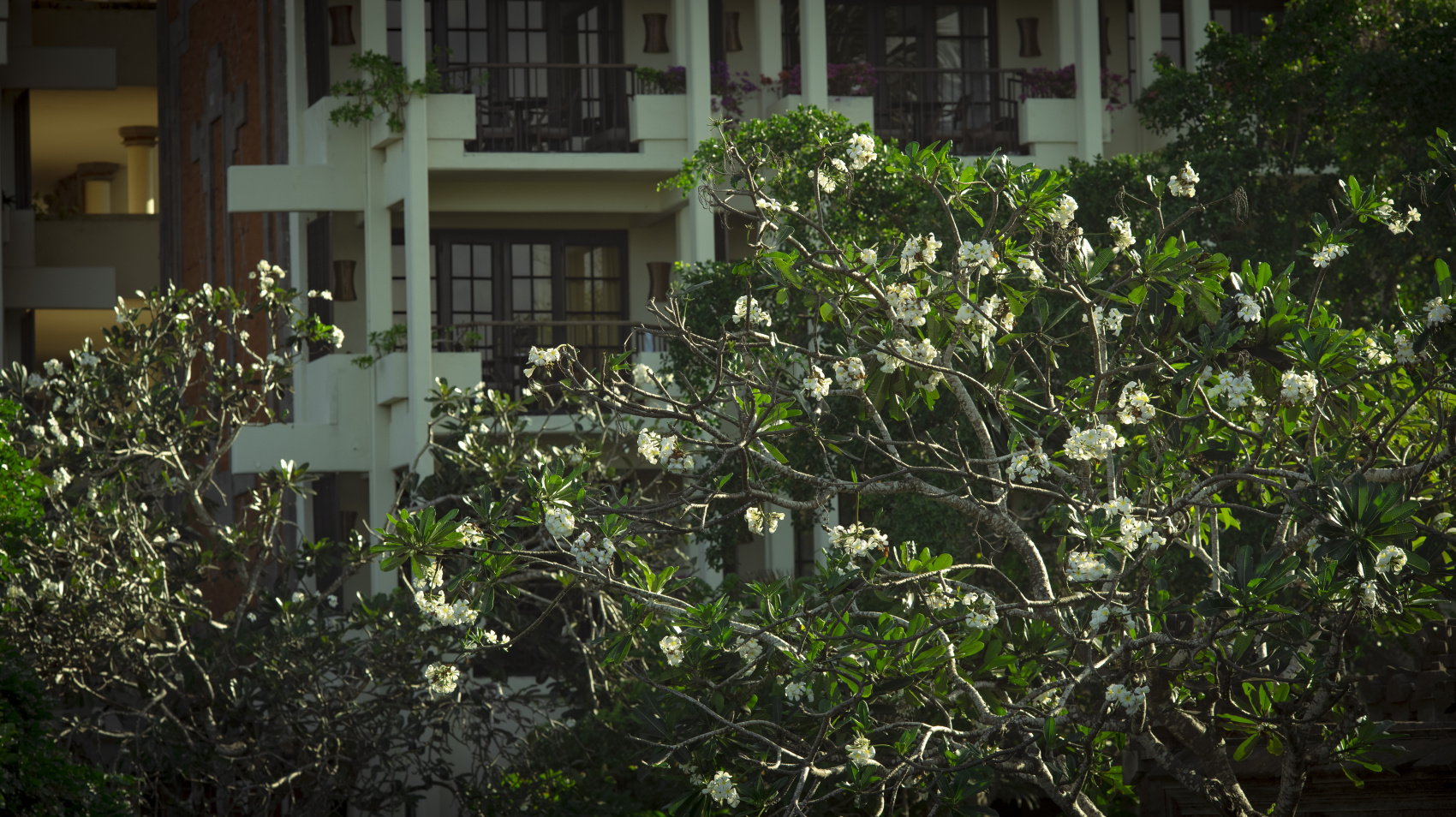  Бали: Серфинг, приключения и релакс (284/391)