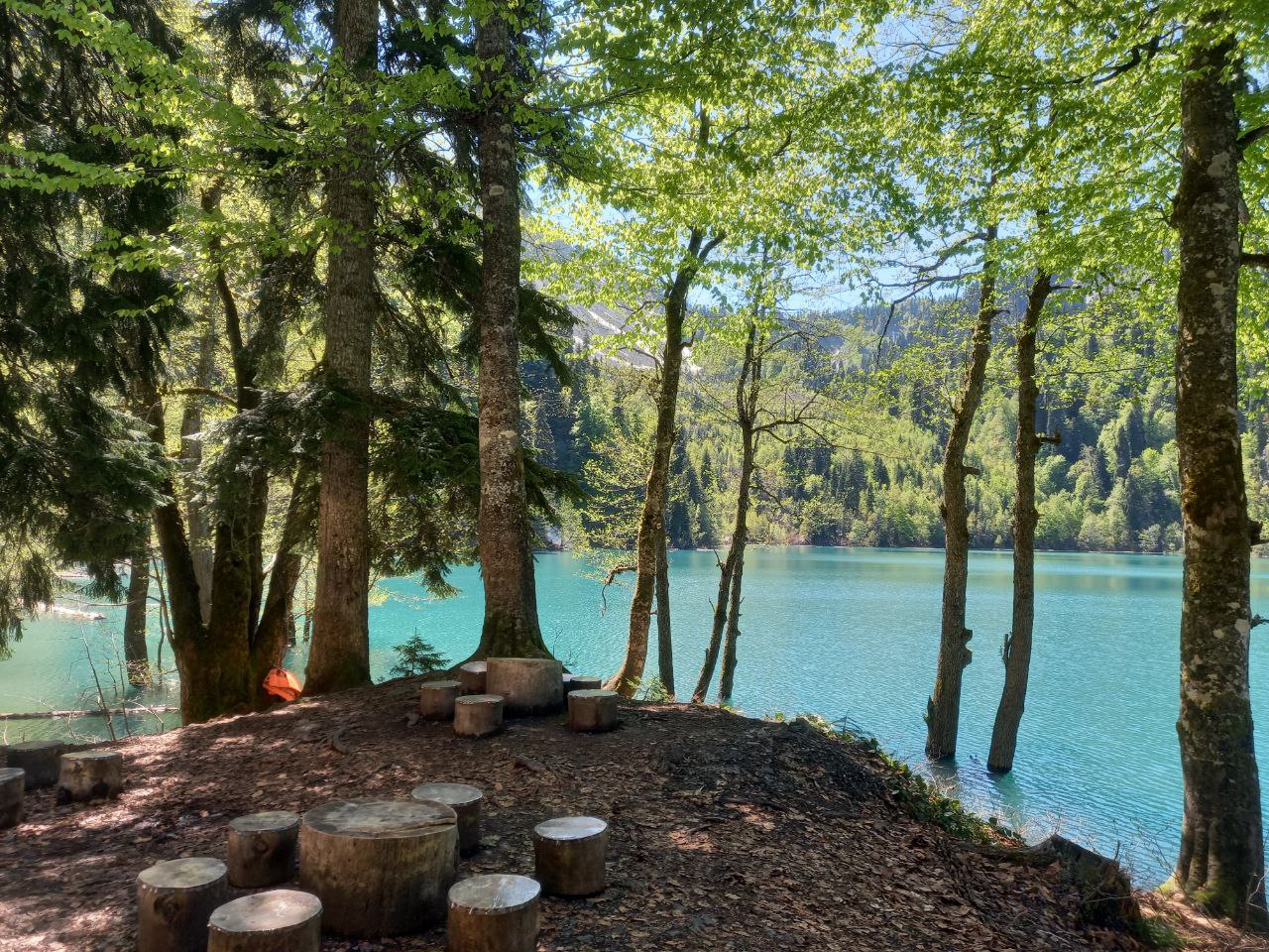 Абхазия - страна души. Комфорт-тур (19/43)