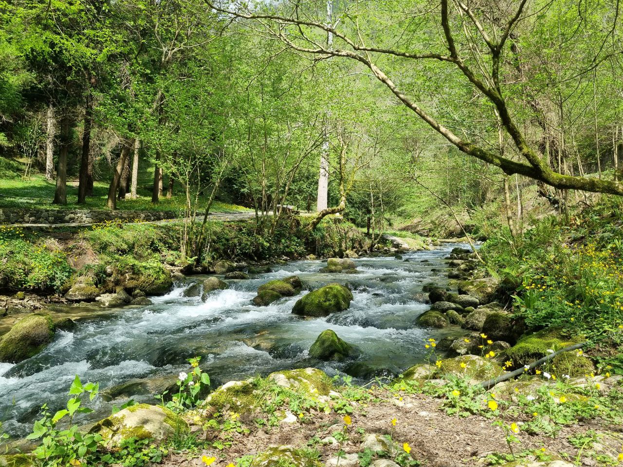 Абхазия - страна души. Комфорт-тур (2/43)