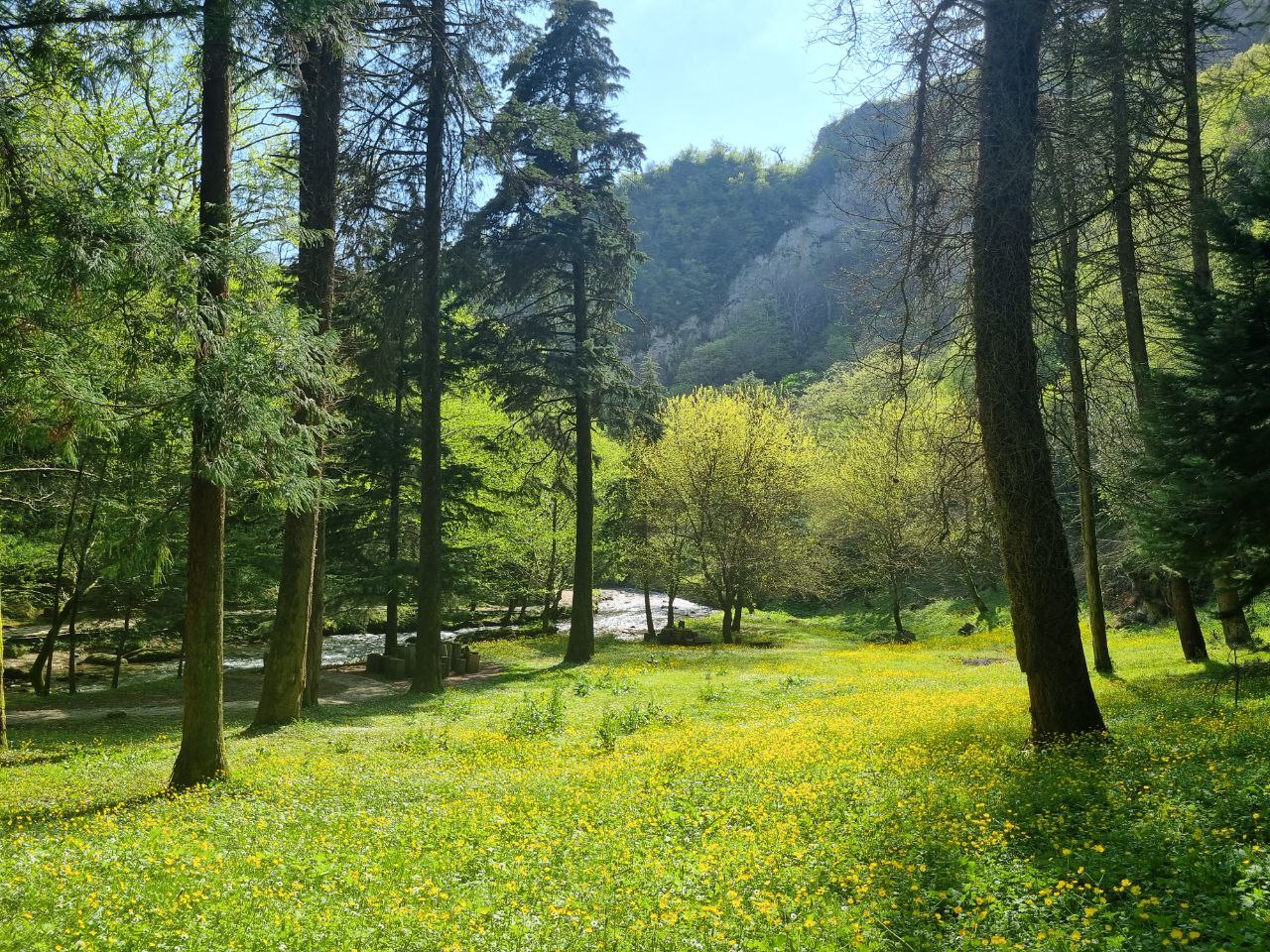 Абхазия - страна души. Комфорт-тур (10/43)