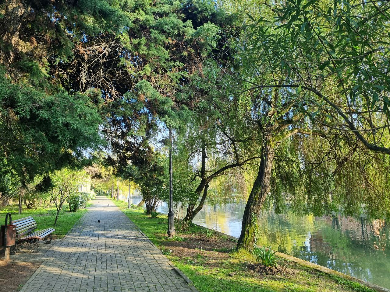 Абхазия - страна души. Комфорт-тур (11/43)